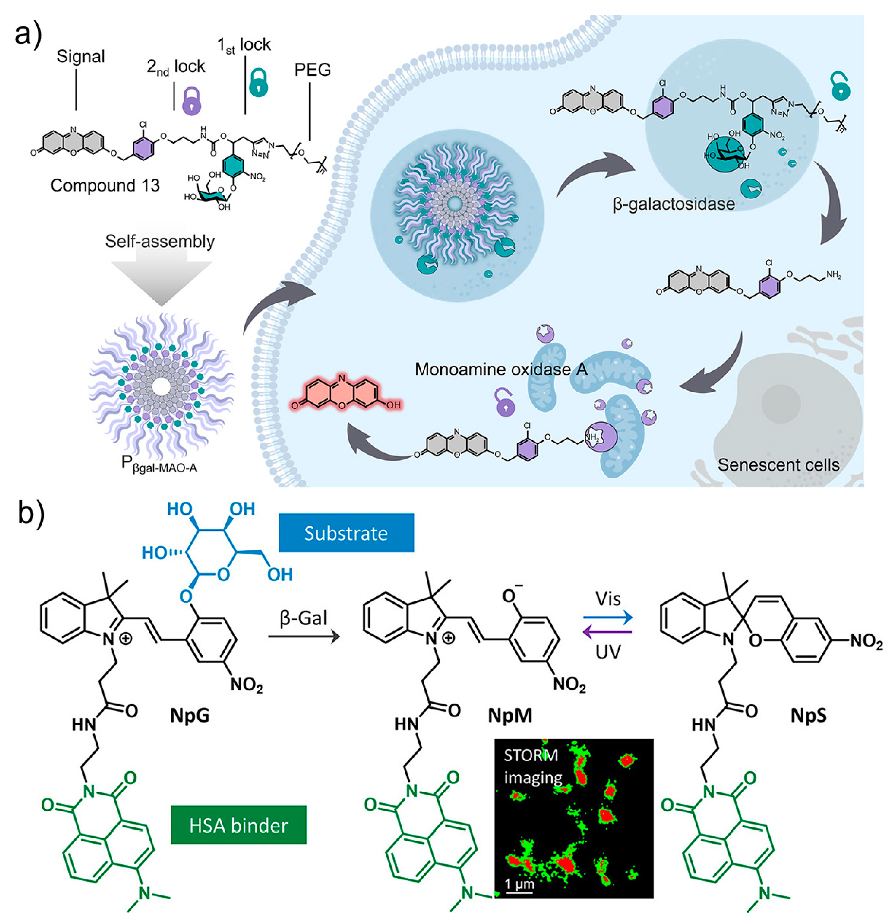 Biosensors 13 00838 g010 Biosensors 13 00838 g010