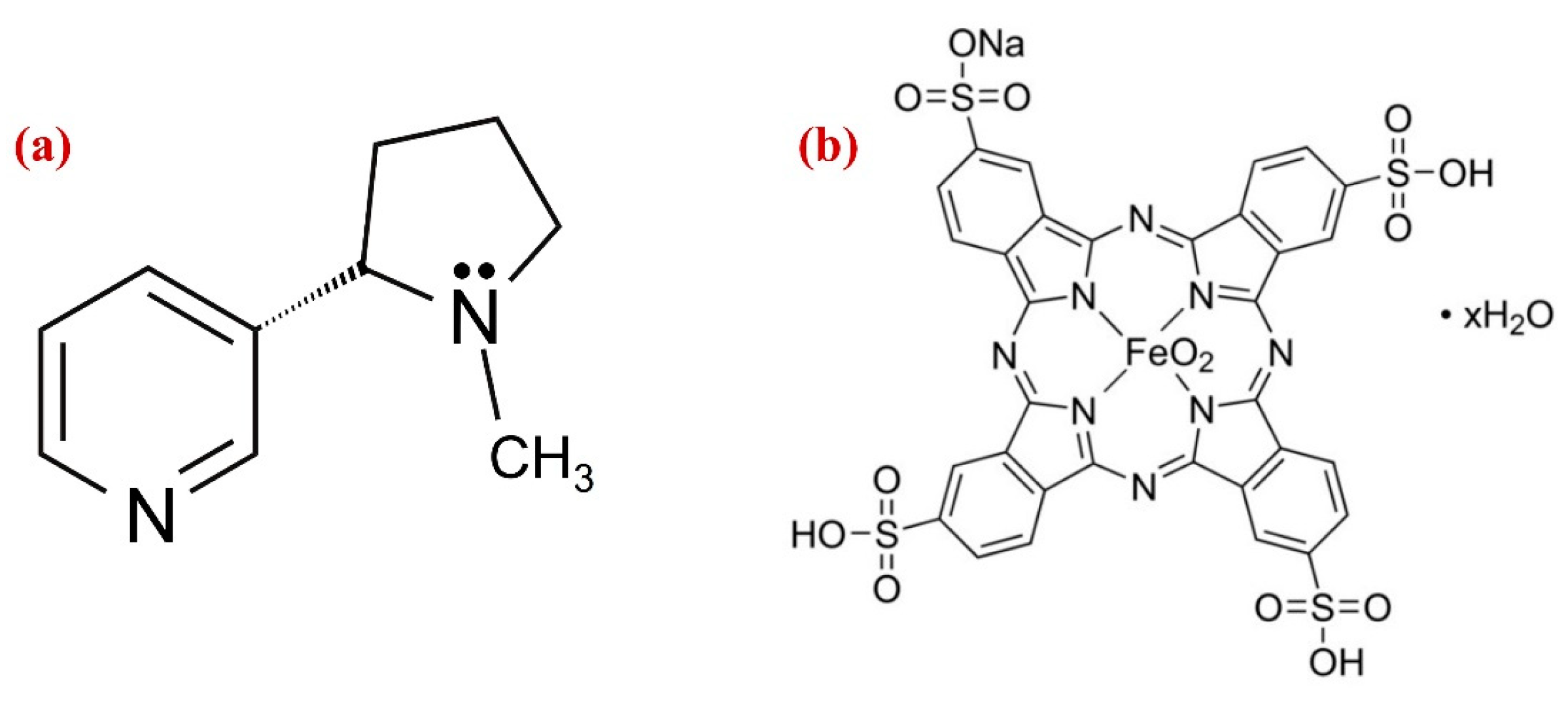 Biosensors 13 00839 g001