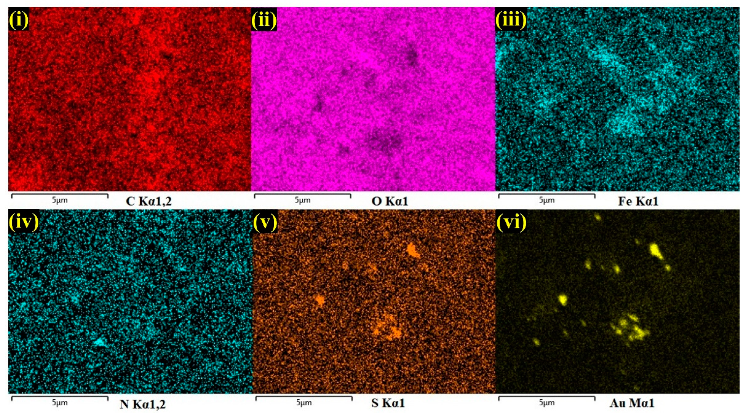 Biosensors 13 00839 g003