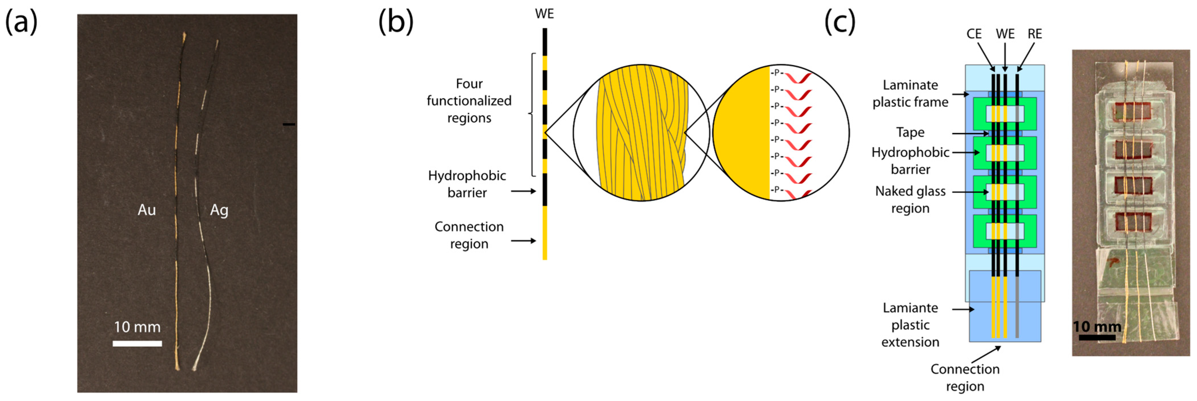 Biosensors 13 00844 g001