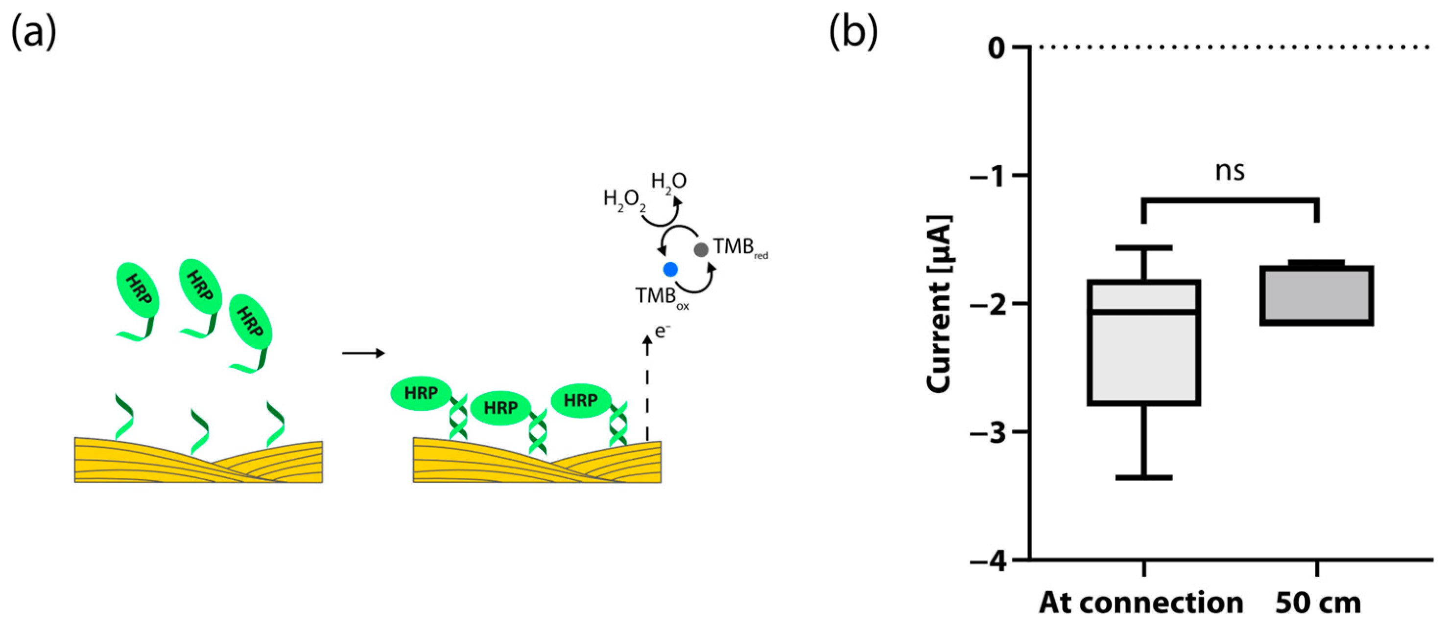 Biosensors 13 00844 g003