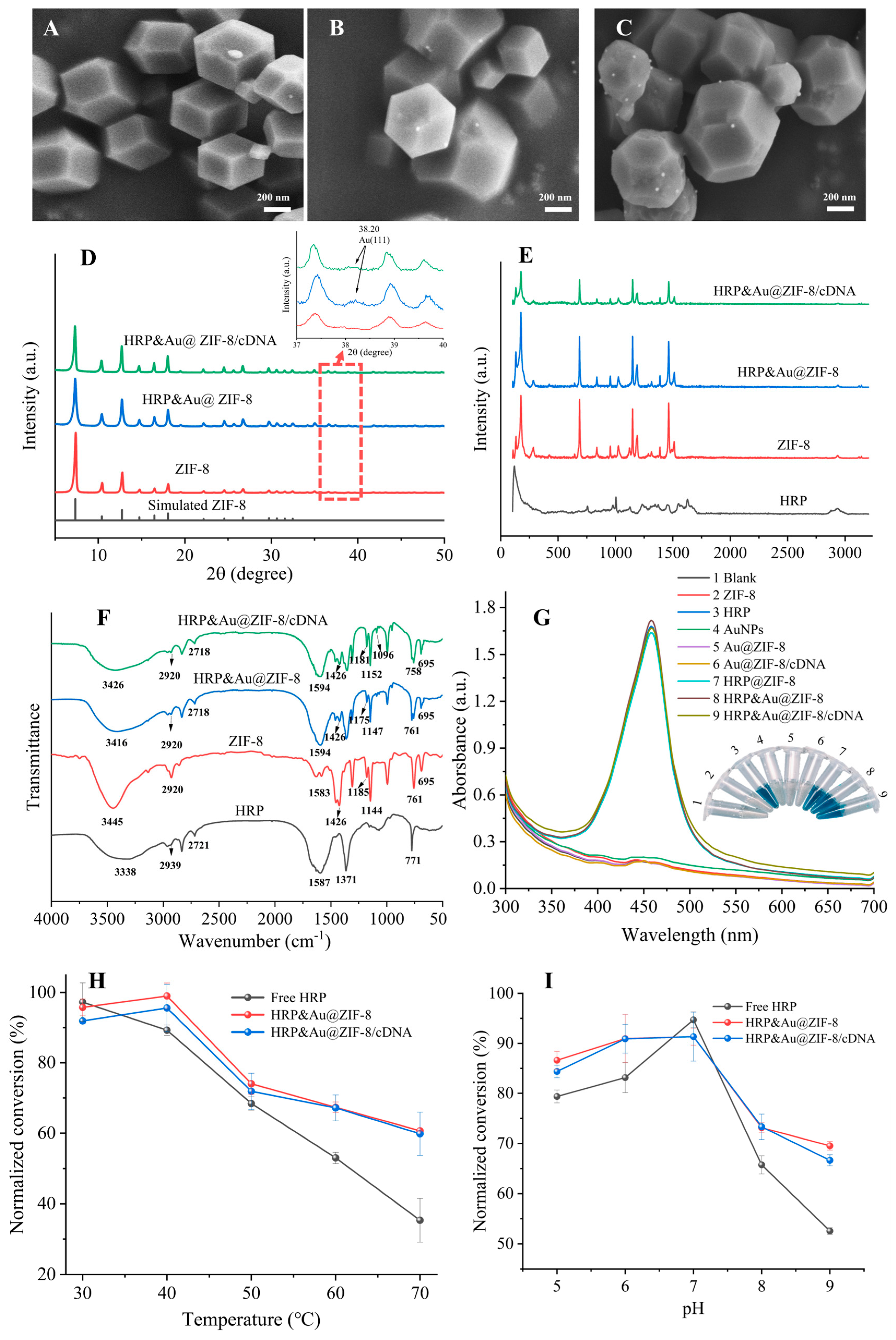 【E.T】 Zeolitic Imidazolate Framework-8 Composite-Based Enzyme