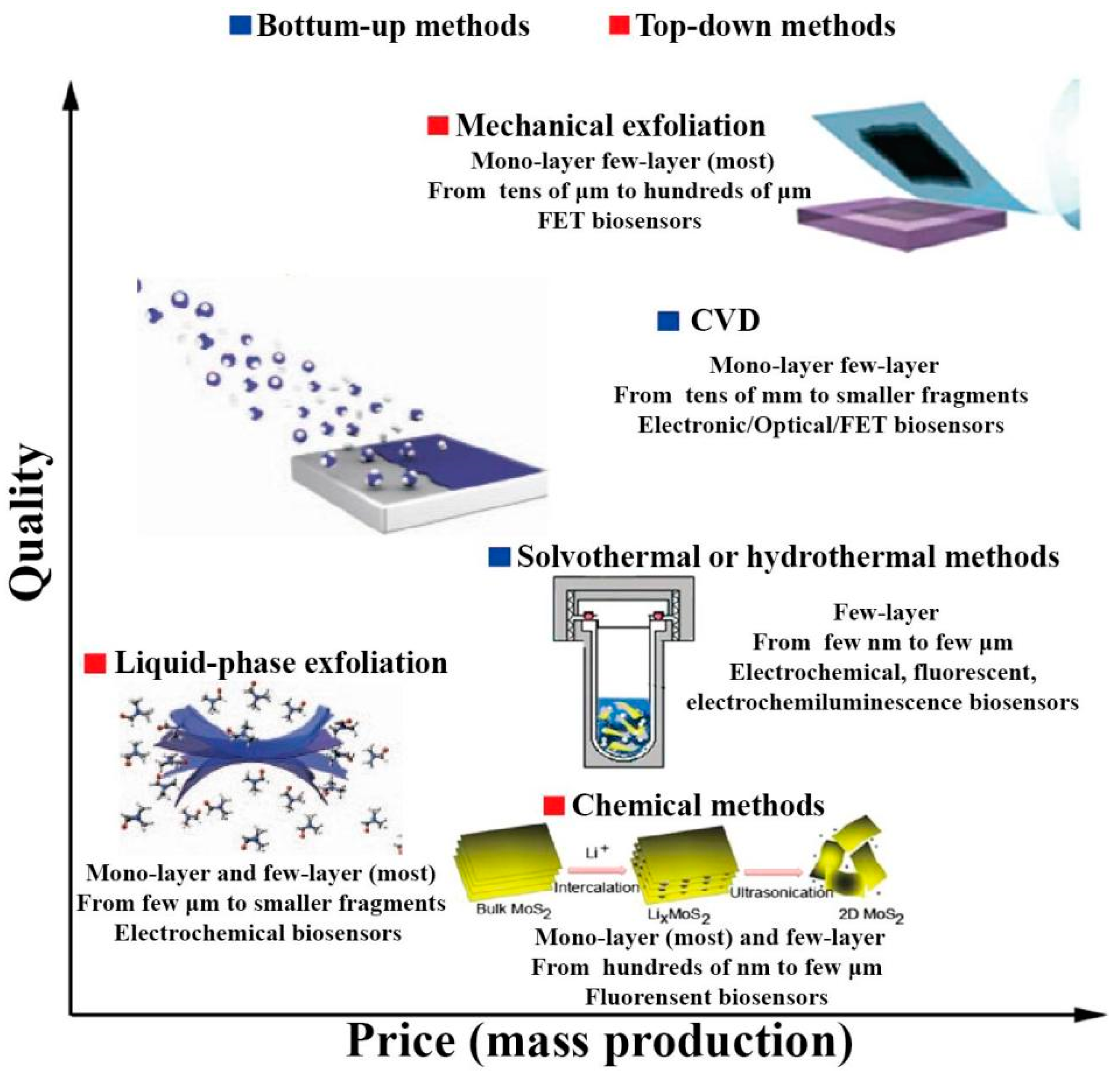 Biosensors 13 00848 g002