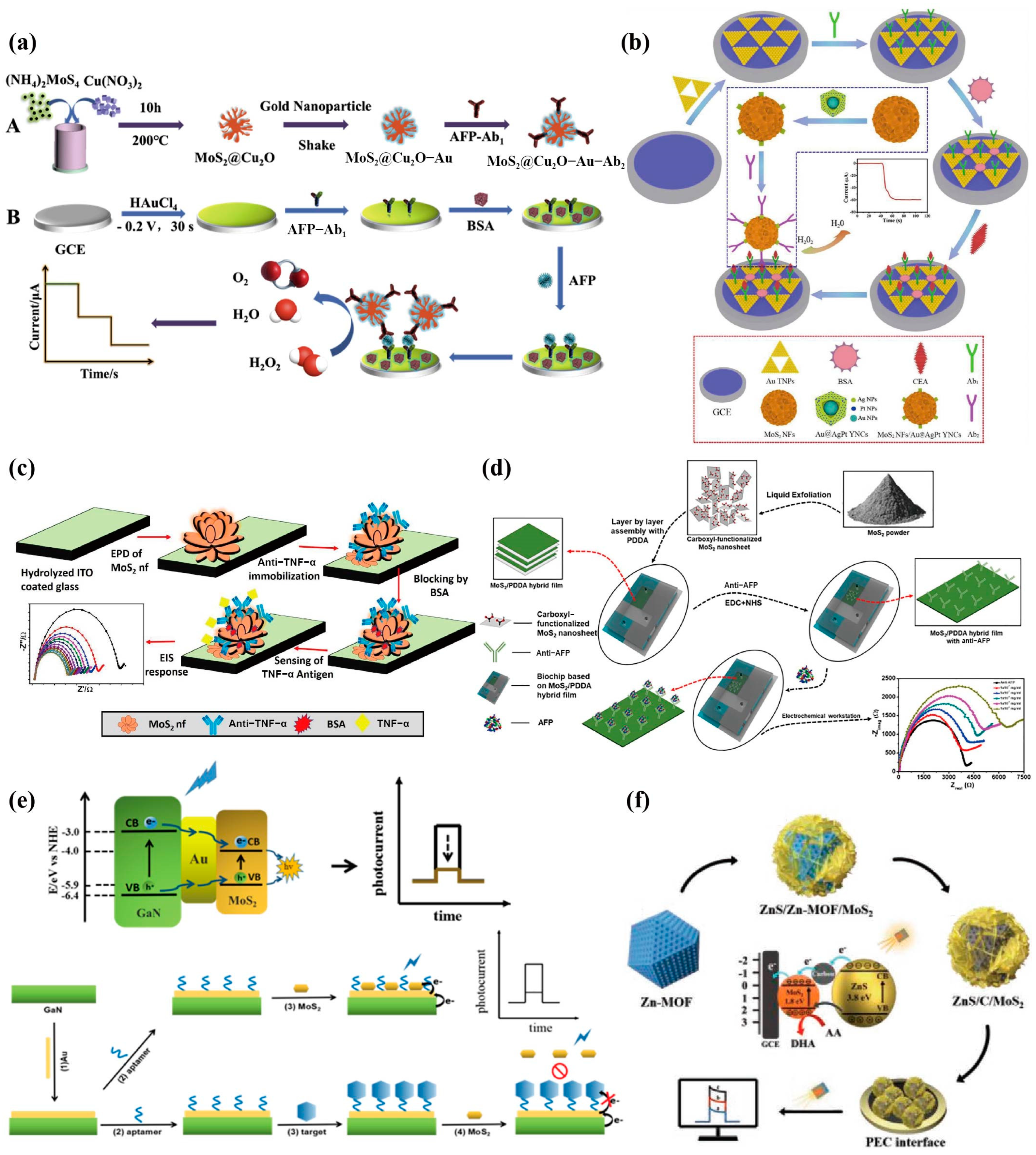 Biosensors 13 00848 g004