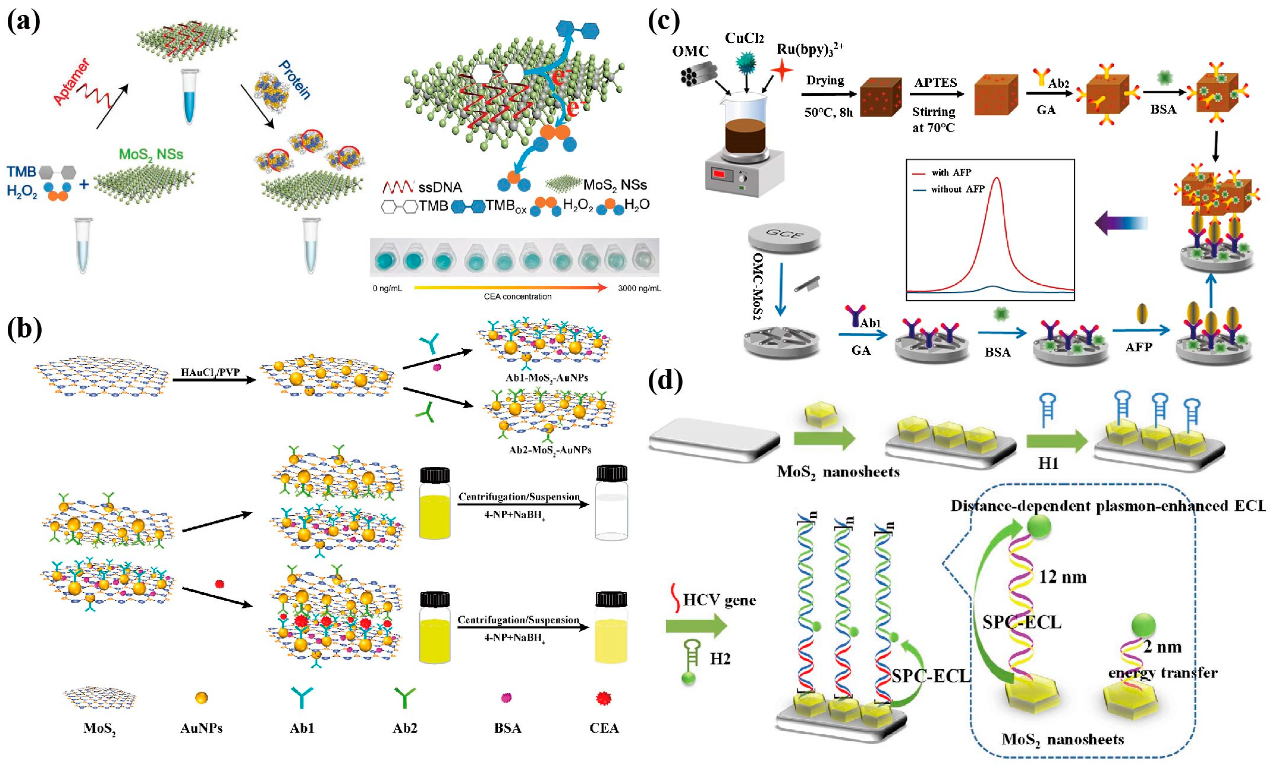 Biosensors 13 00848 g005