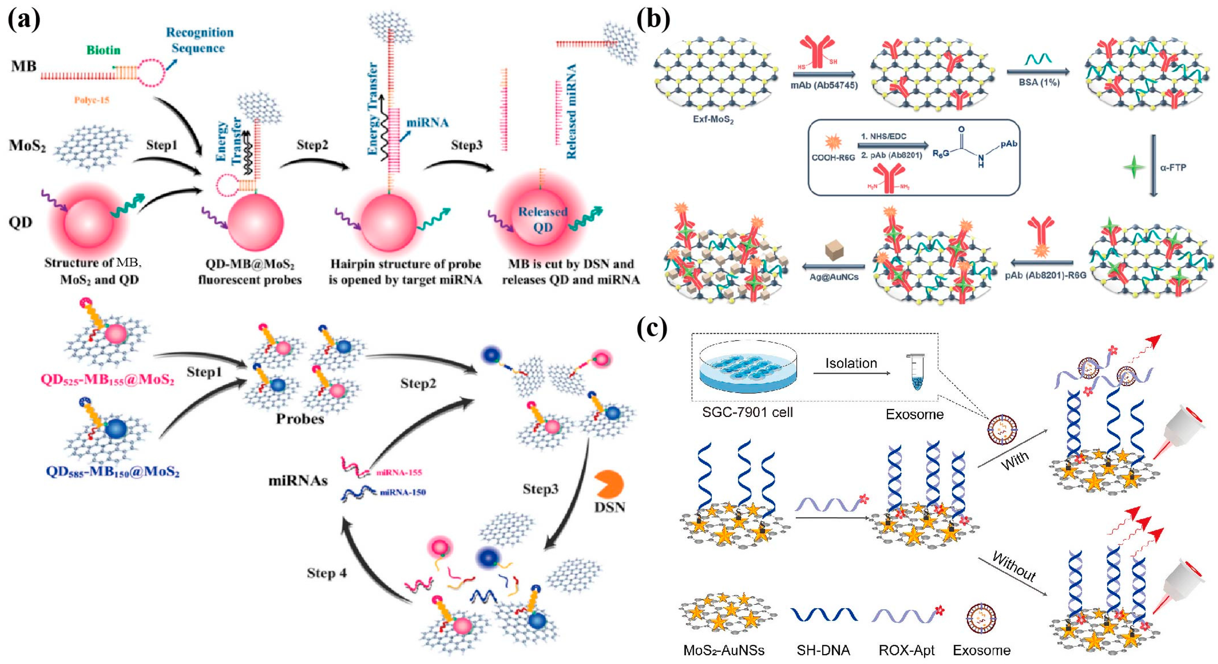 Biosensors 13 00848 g006