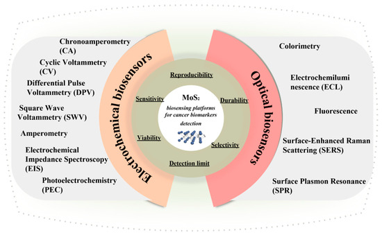 Molybdenum Disulfide as Tunable Electrochemical and Optical