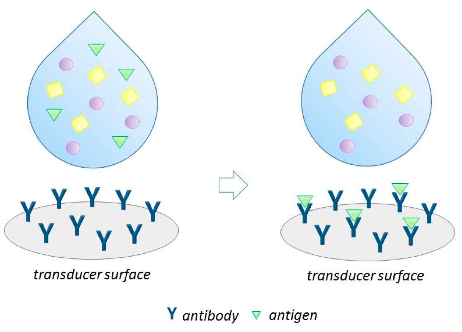Biosensors 13 00850 g001
