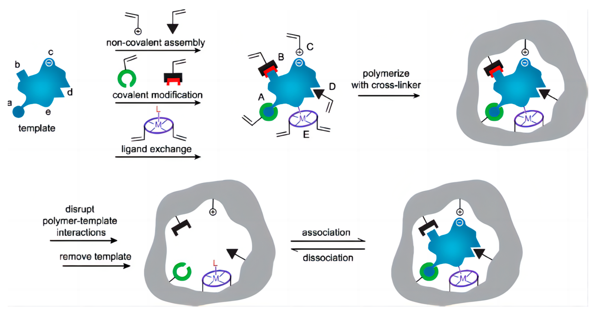 Biosensors 13 00850 g003