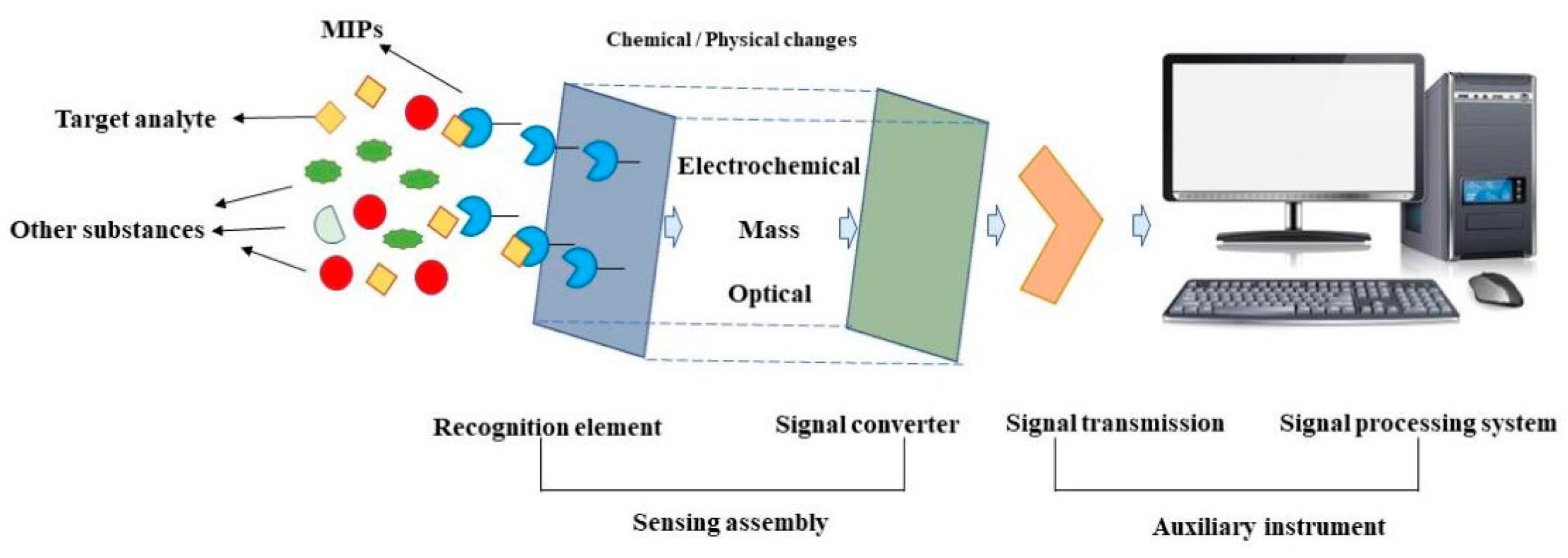 Biosensors 13 00850 g004