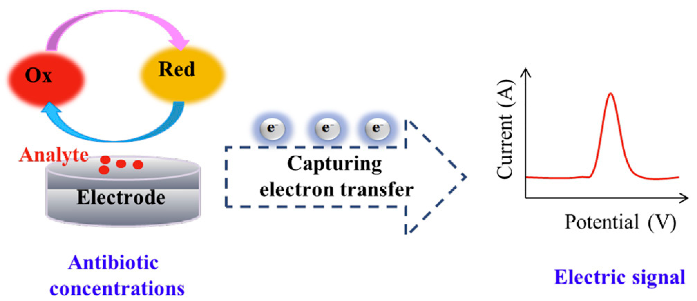 Biosensors 13 00850 g005
