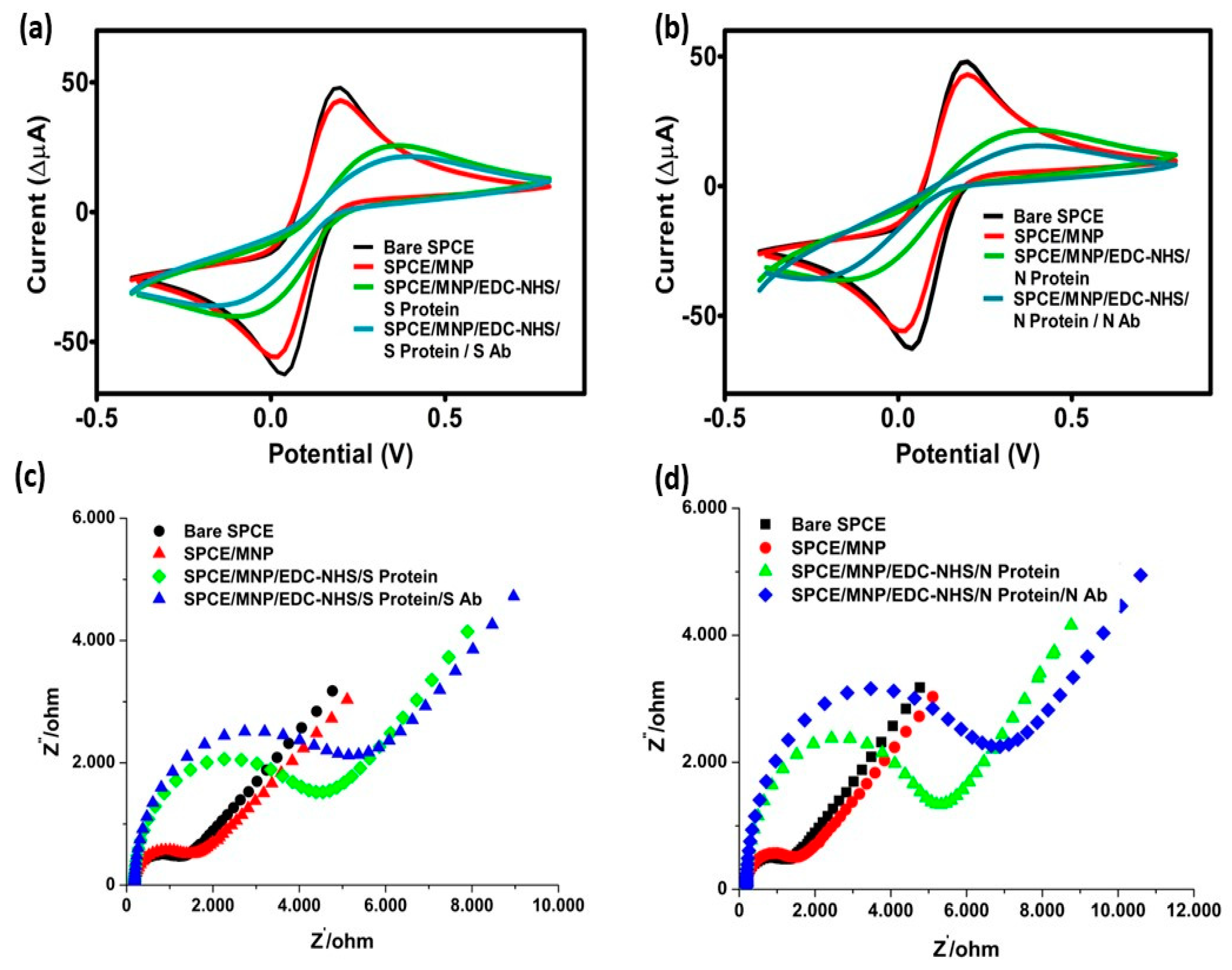 Biosensors 13 00851 g001