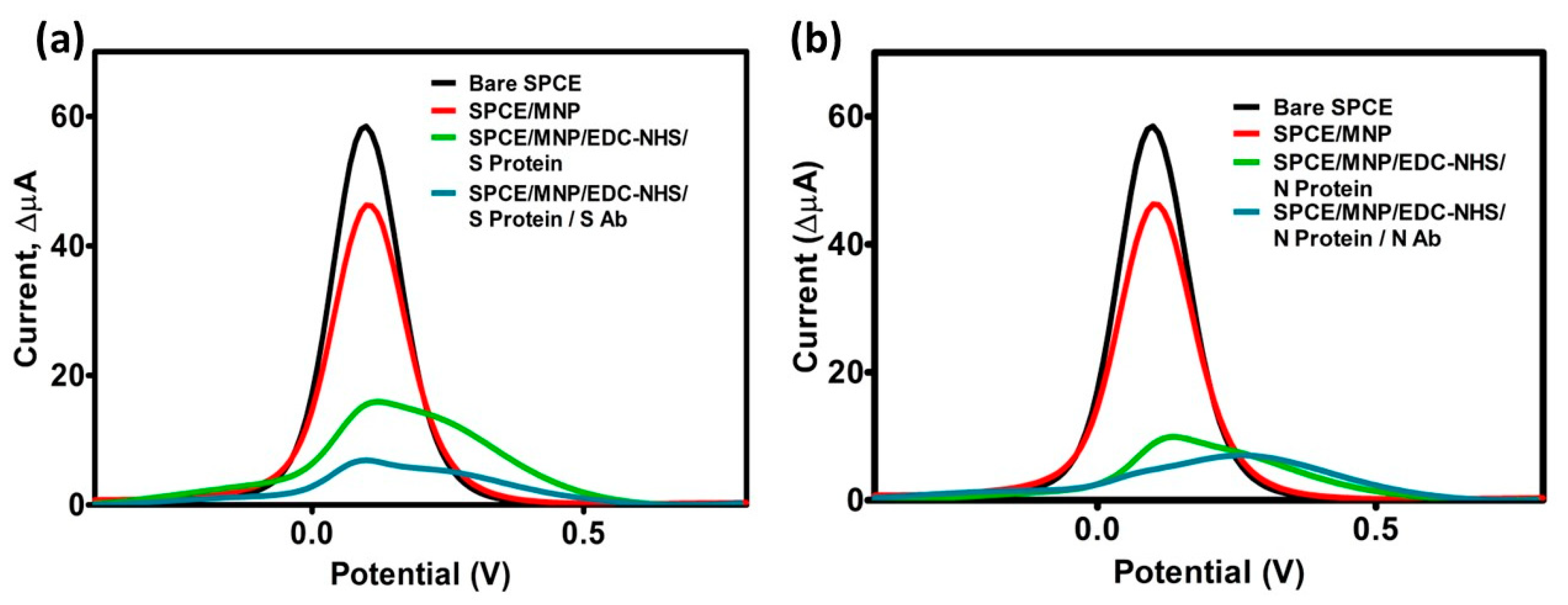 Biosensors 13 00851 g003
