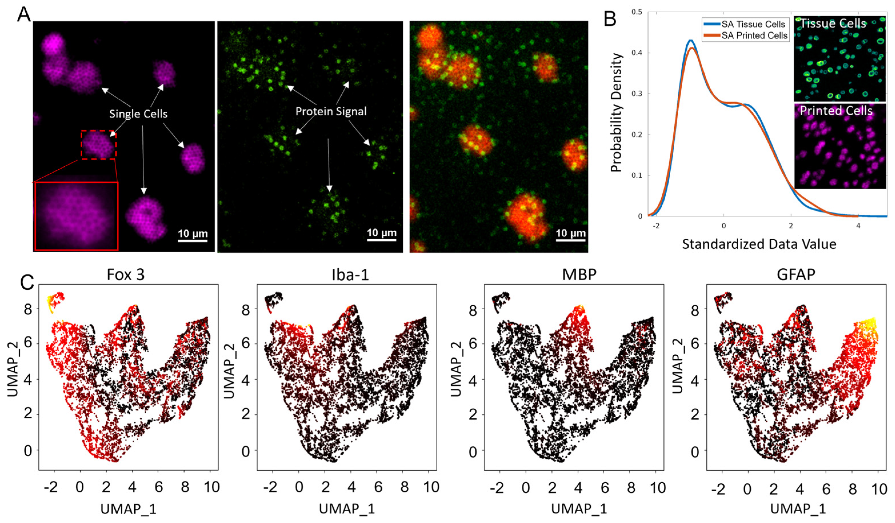 Biosensors 13 00852 g002