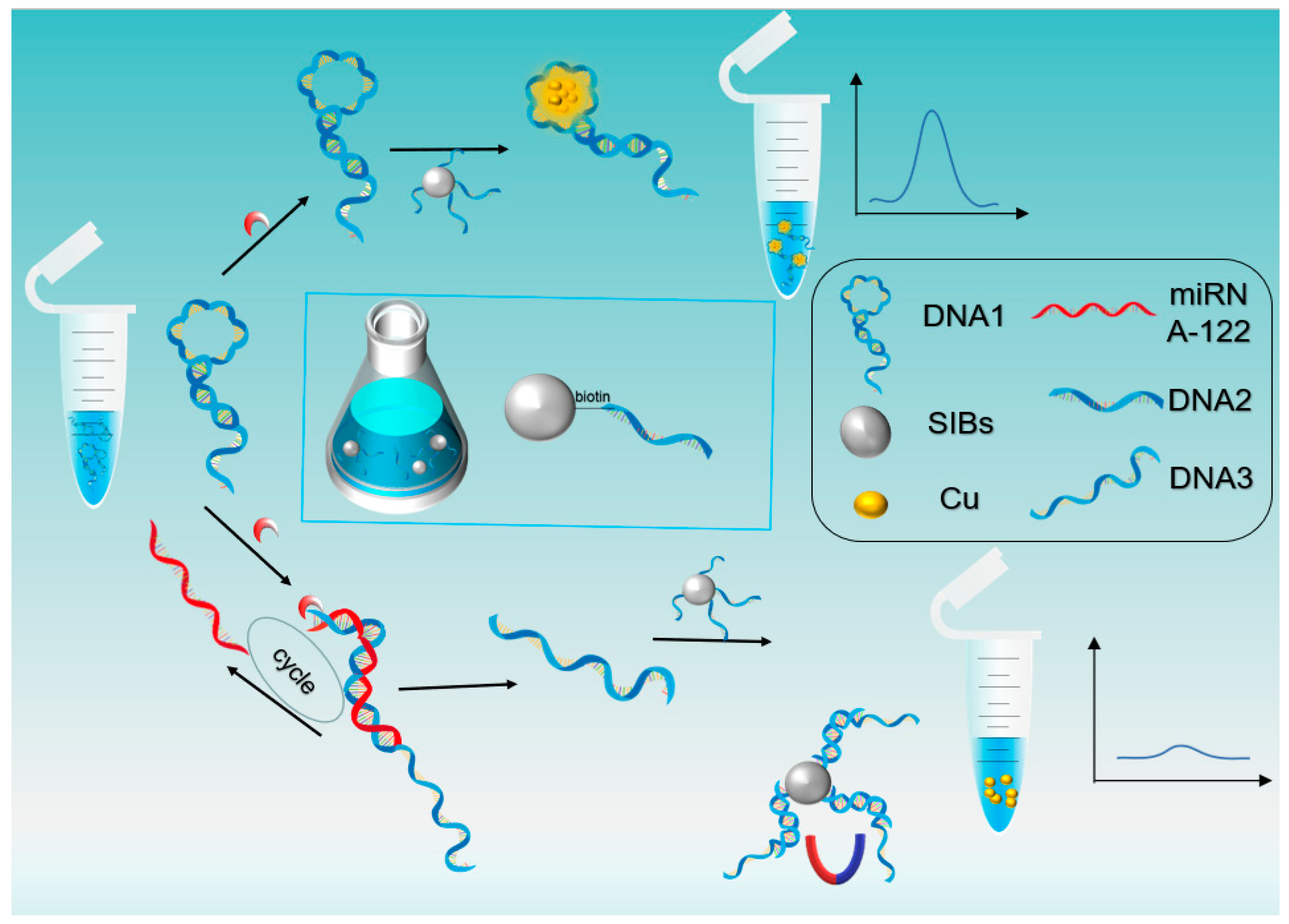 Biosensors 13 00854 g001