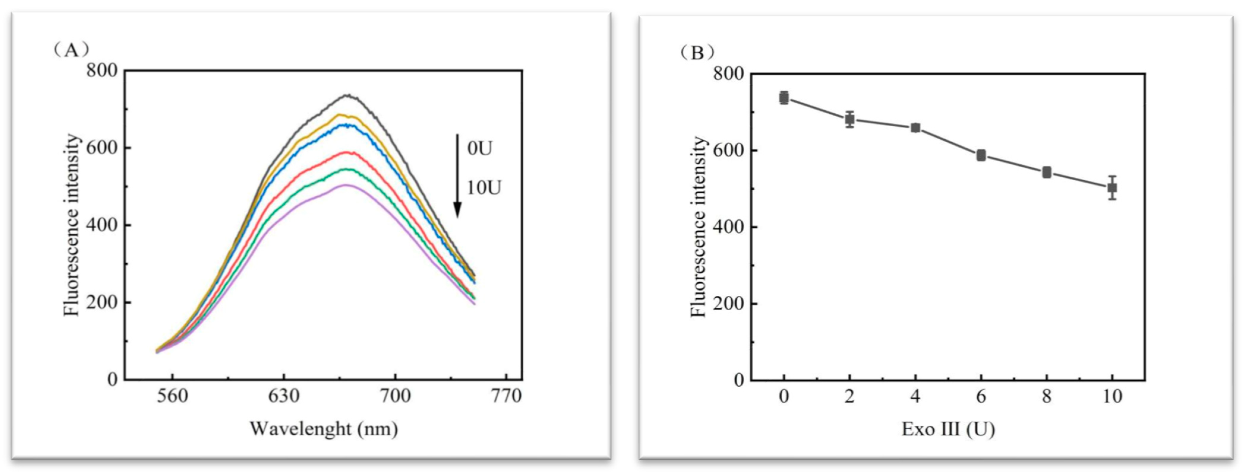 Biosensors 13 00854 g004