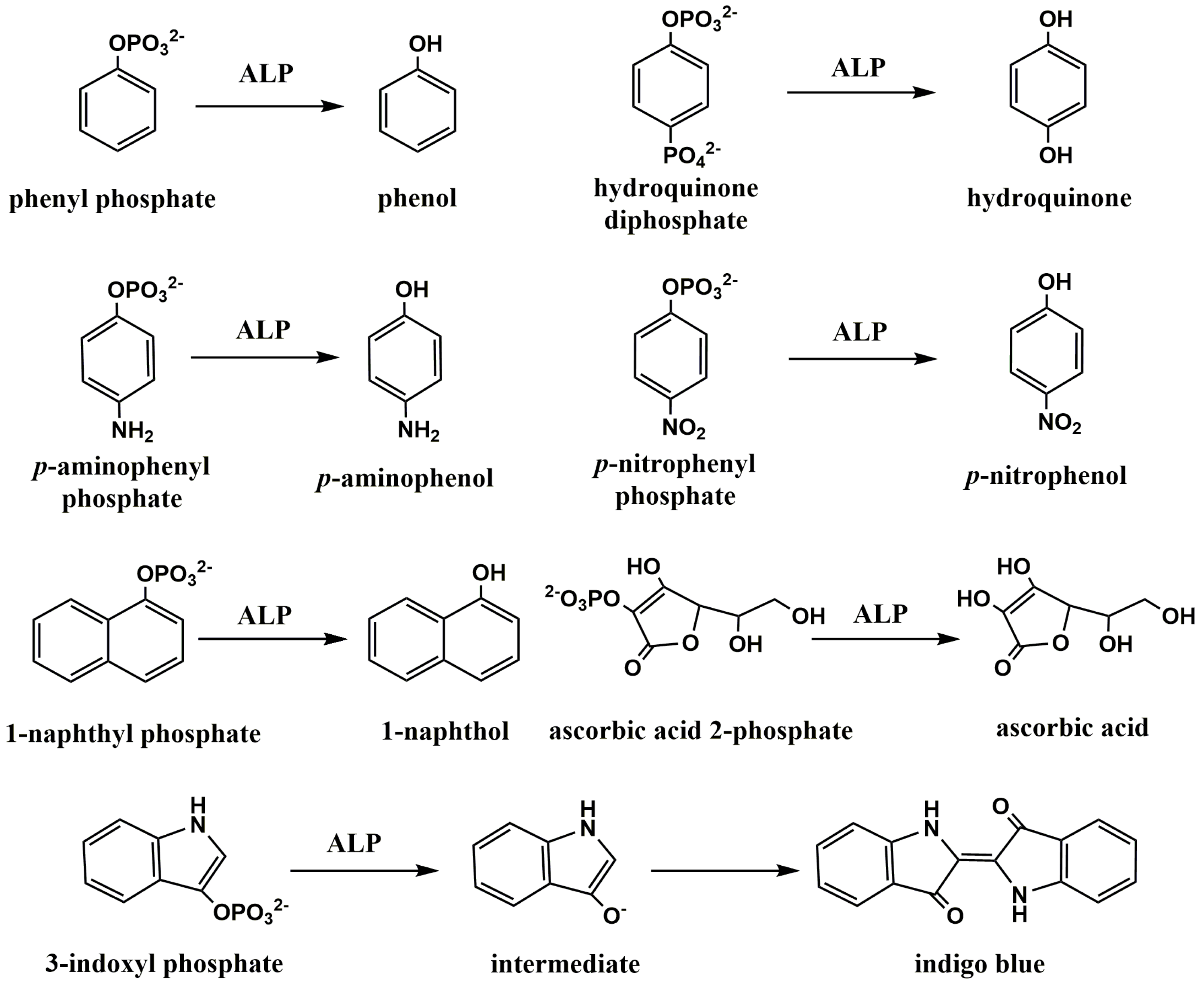 Biosensors 13 00855 g001 Biosensors 13 00855 g001