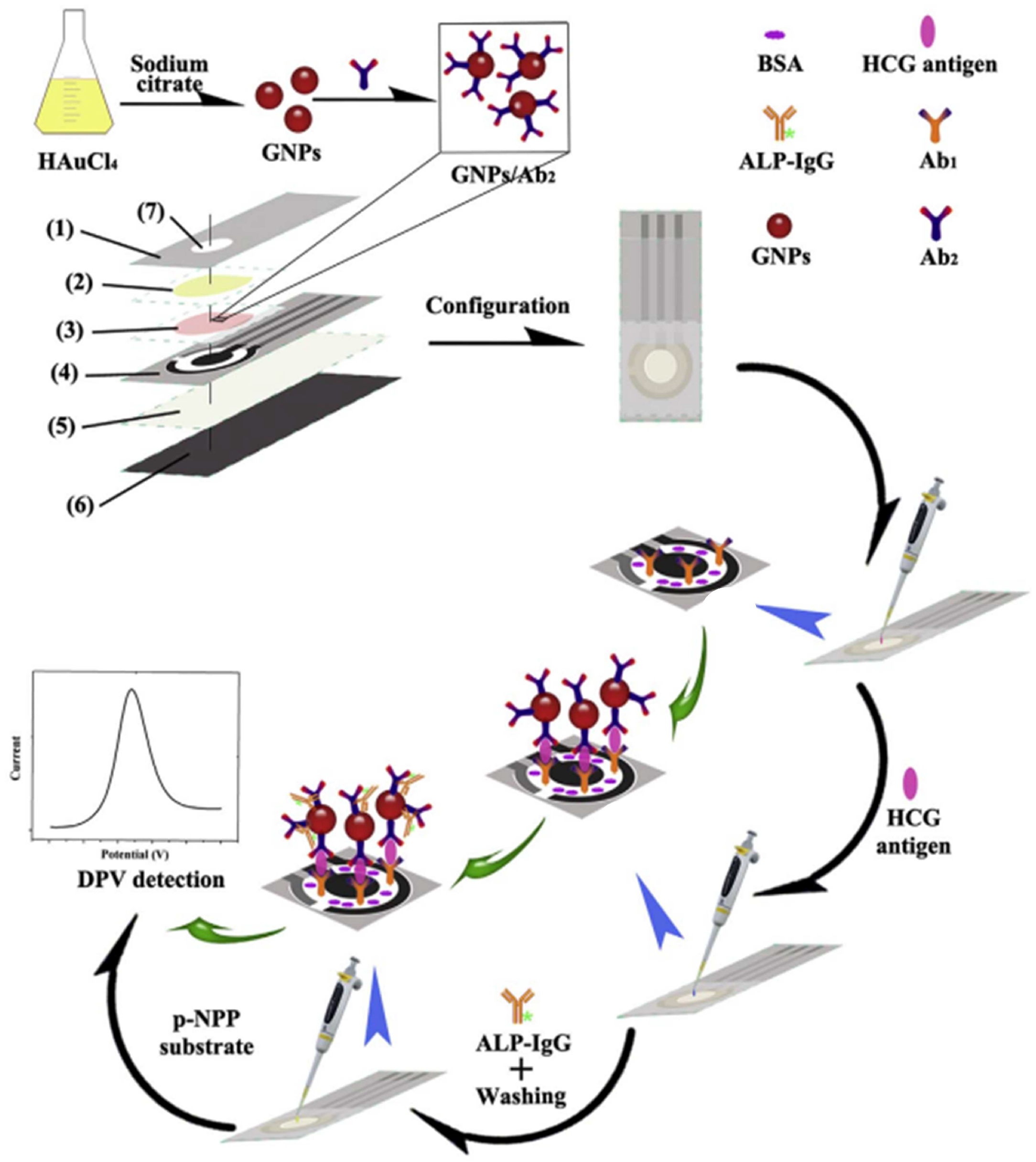 Biosensors 13 00855 g003 Biosensors 13 00855 g003