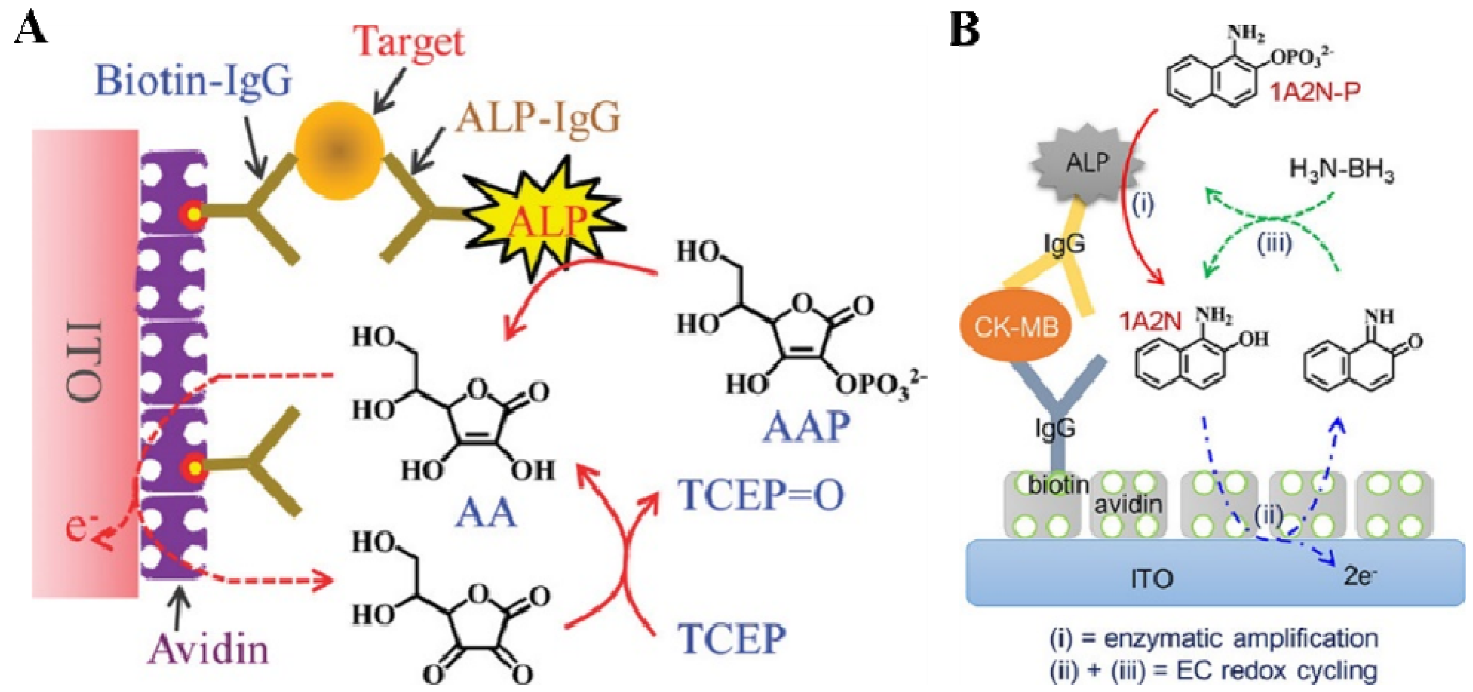 Biosensors 13 00855 g004 Biosensors 13 00855 g004