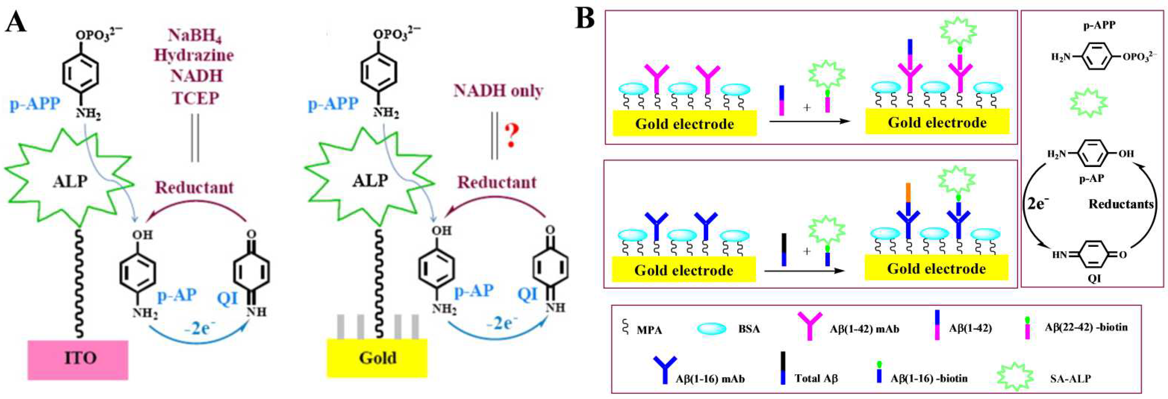 Biosensors 13 00855 g005 Biosensors 13 00855 g005