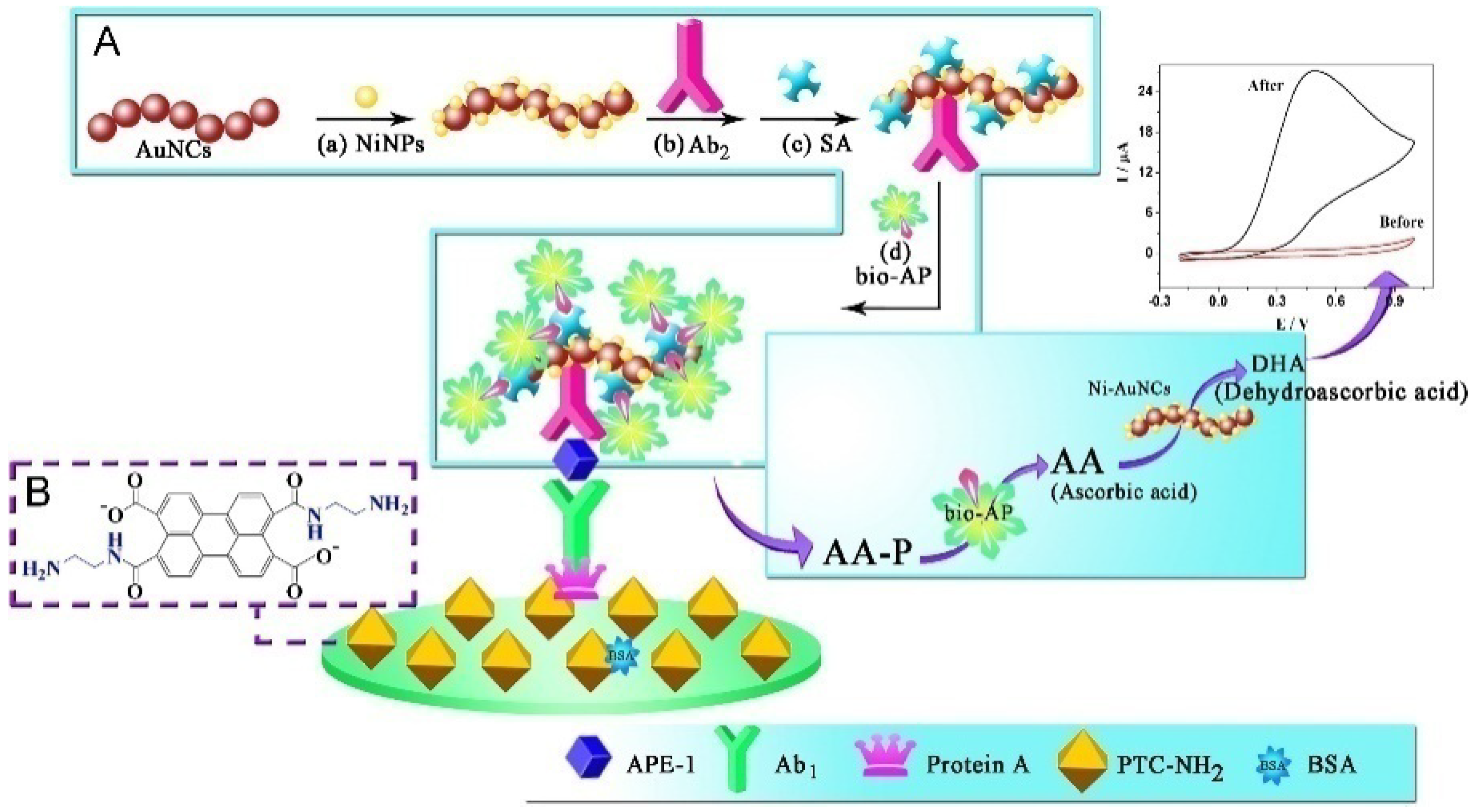 Biosensors 13 00855 g006 Biosensors 13 00855 g006