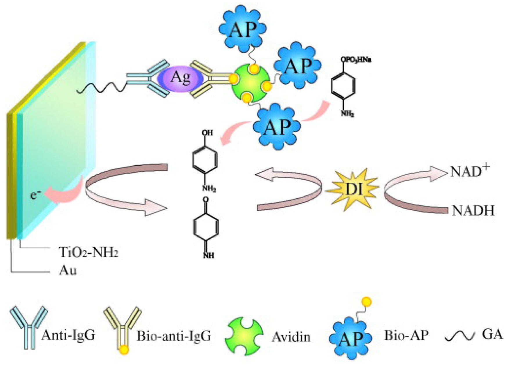 Biosensors 13 00855 g008 Biosensors 13 00855 g008