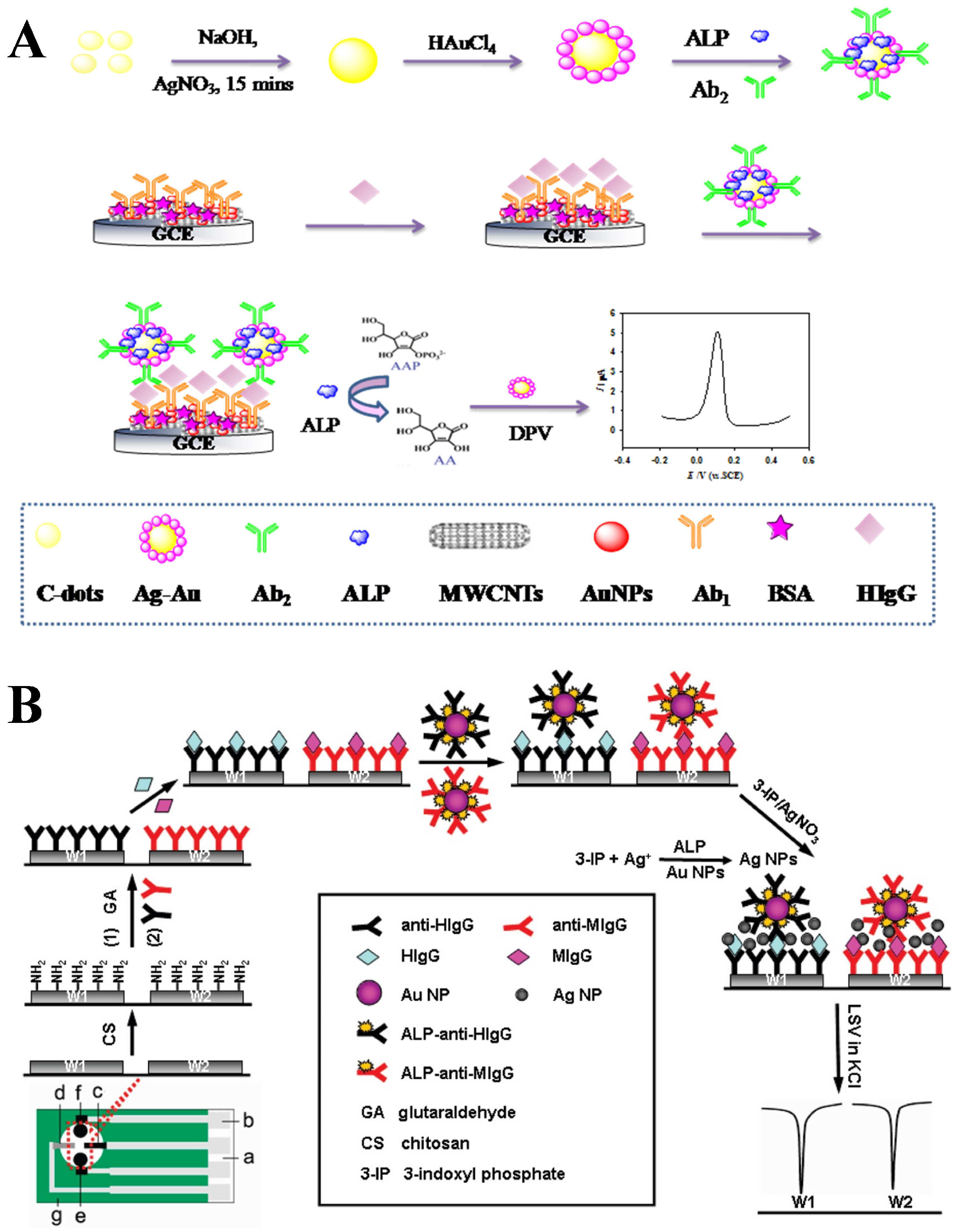 Biosensors 13 00855 g010 Biosensors 13 00855 g010