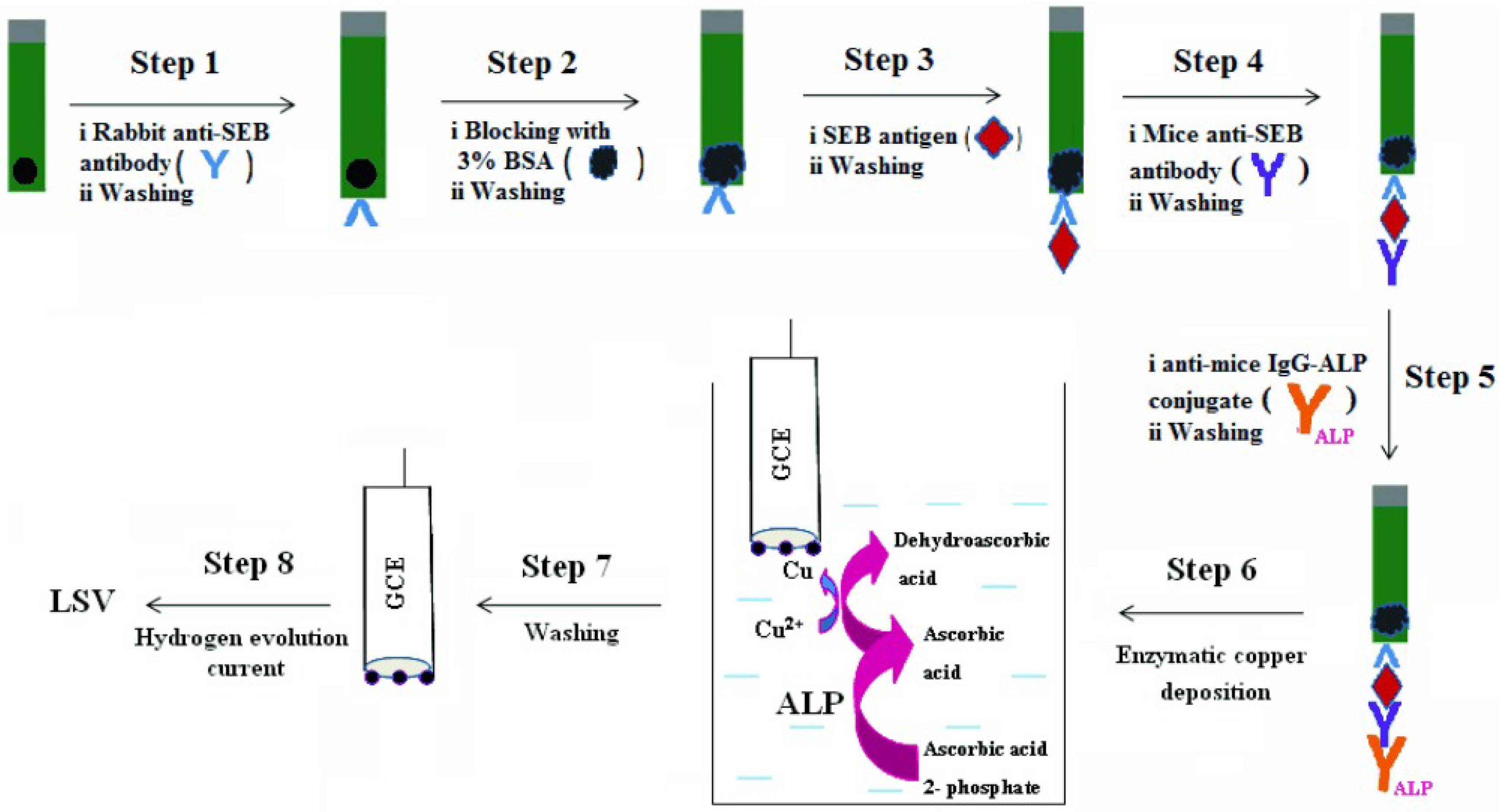 Biosensors 13 00855 g011 Biosensors 13 00855 g011