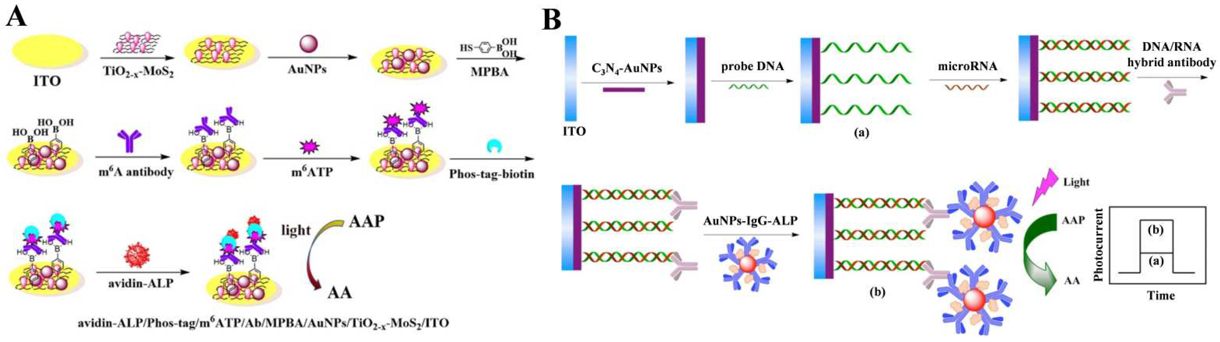 Biosensors 13 00855 g012 Biosensors 13 00855 g012