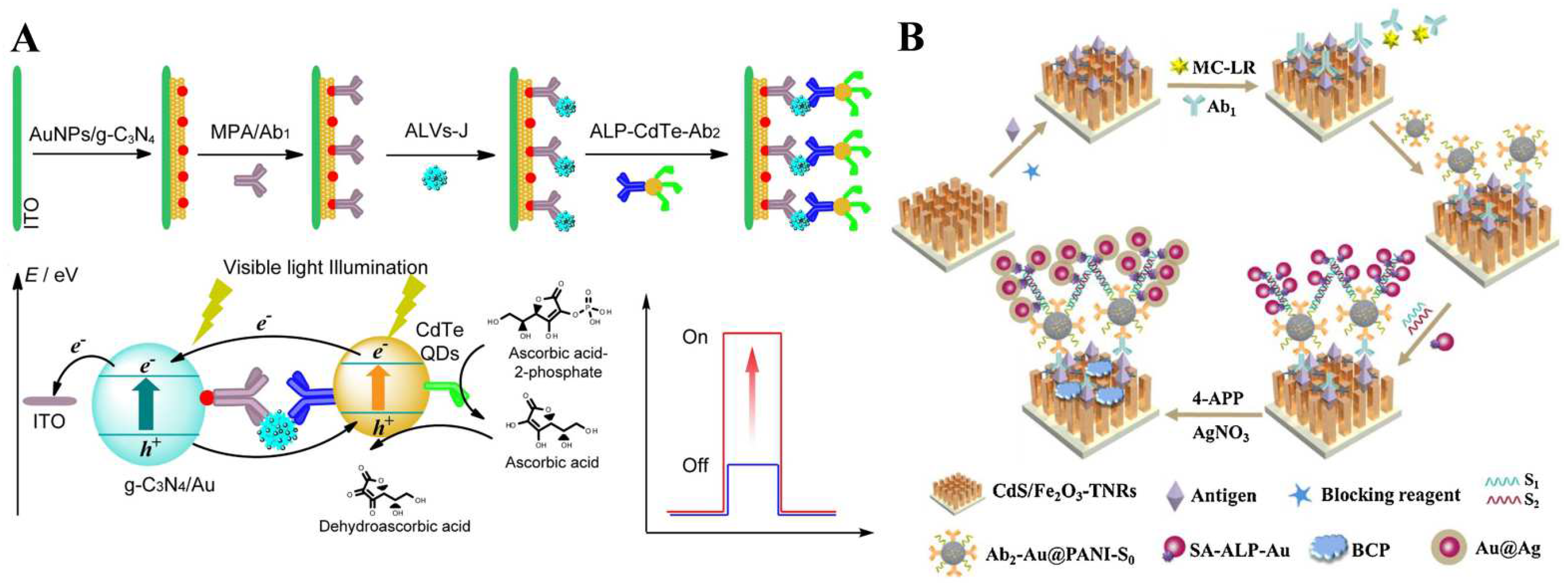 Biosensors 13 00855 g013 Biosensors 13 00855 g013