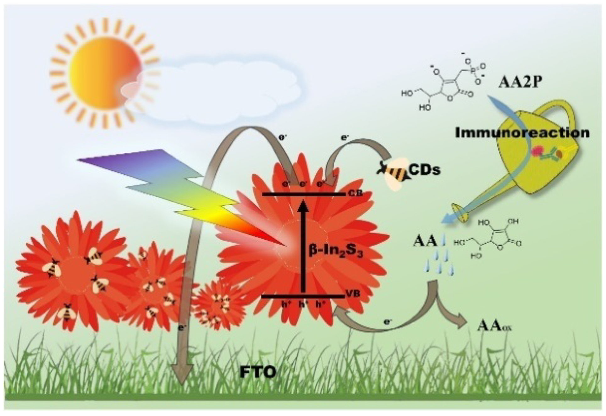 Biosensors 13 00855 g014 Biosensors 13 00855 g014