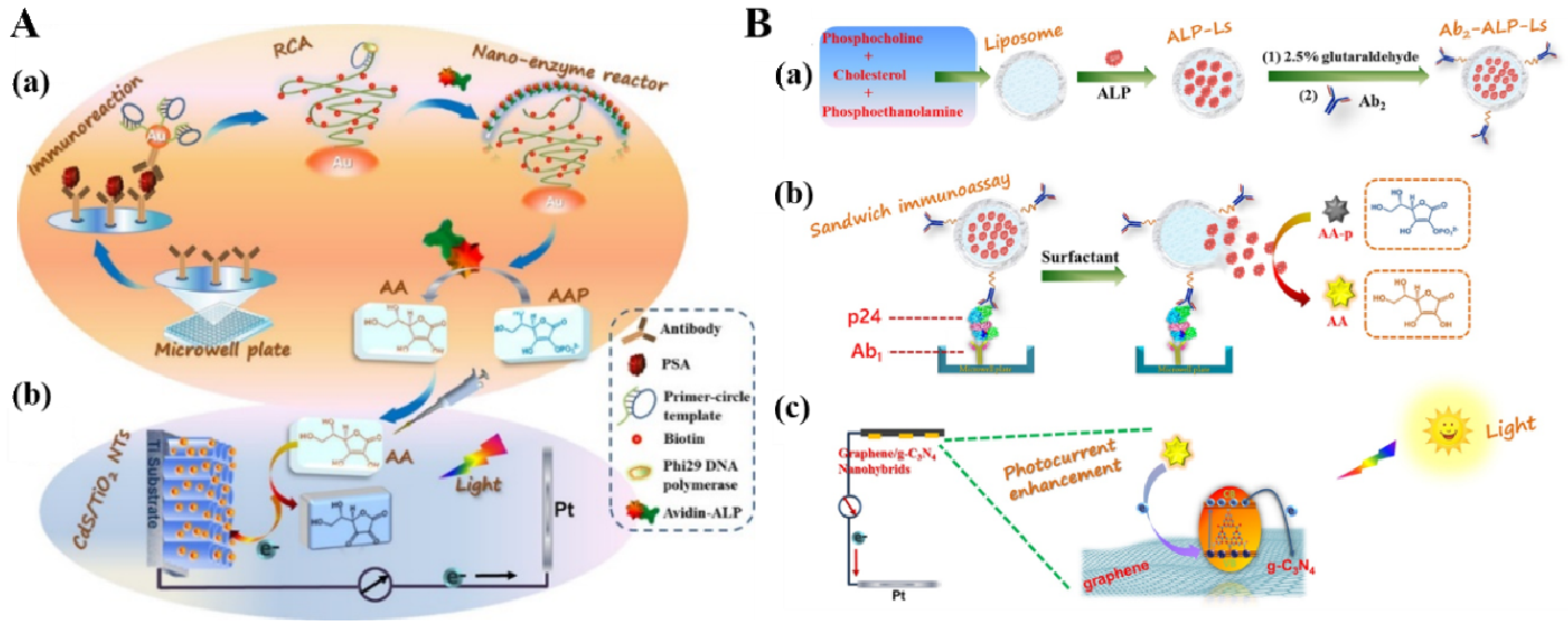 Biosensors 13 00855 g015 Biosensors 13 00855 g015