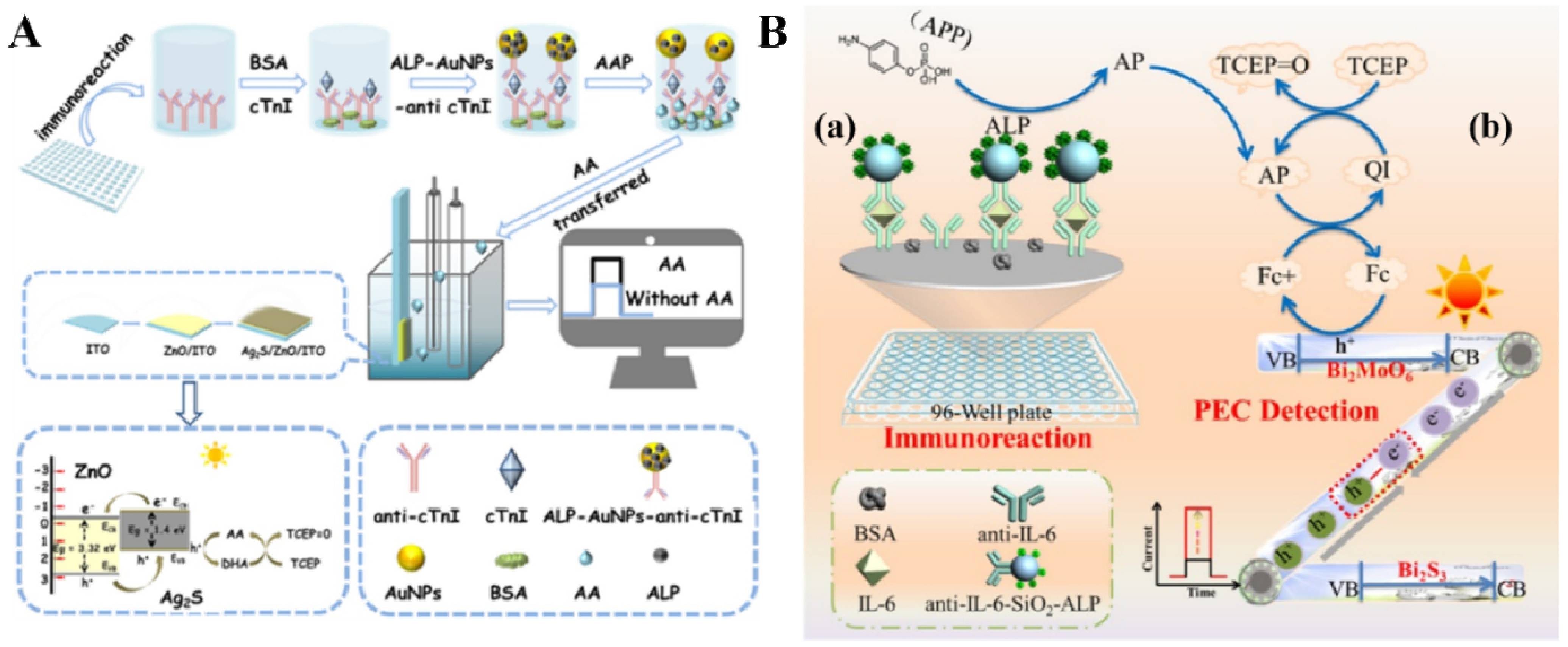Biosensors 13 00855 g018 Biosensors 13 00855 g018