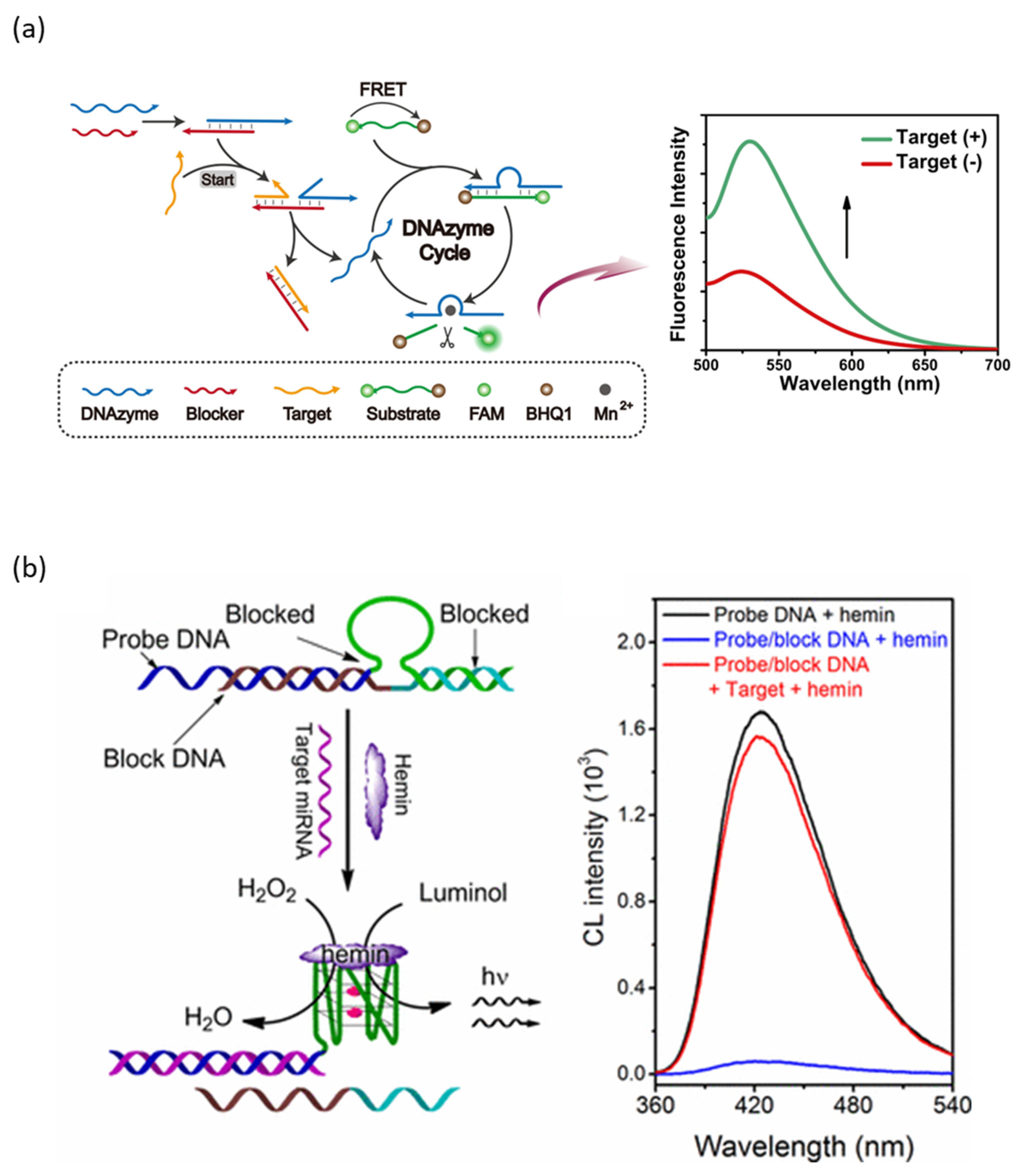 Biosensors 13 00856 g001