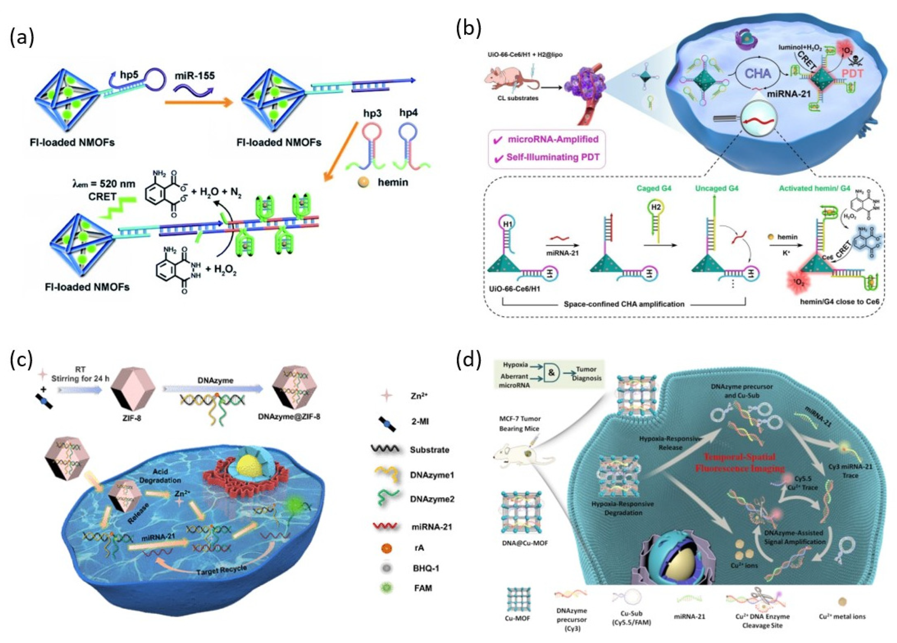 Biosensors 13 00856 g005