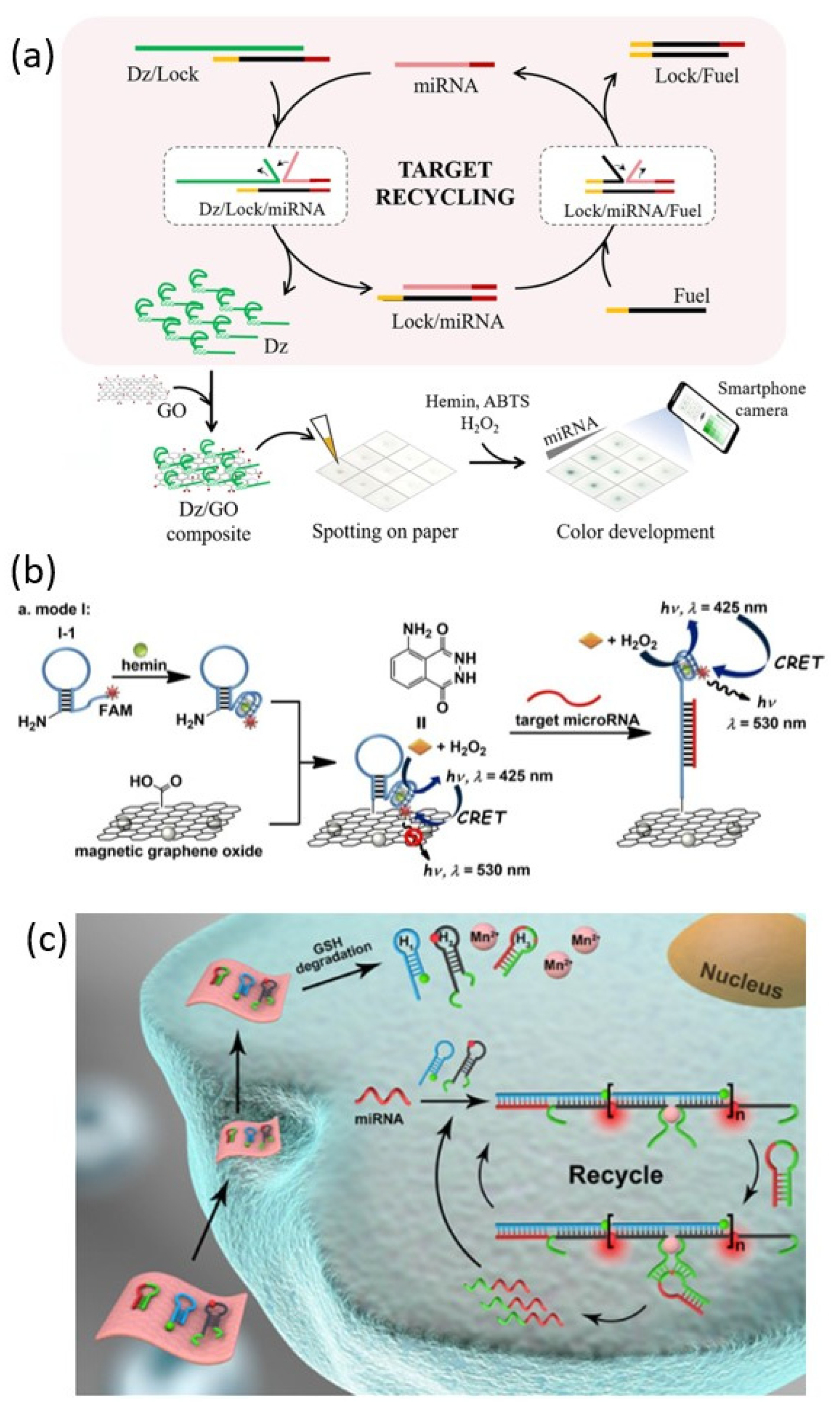 Biosensors 13 00856 g006