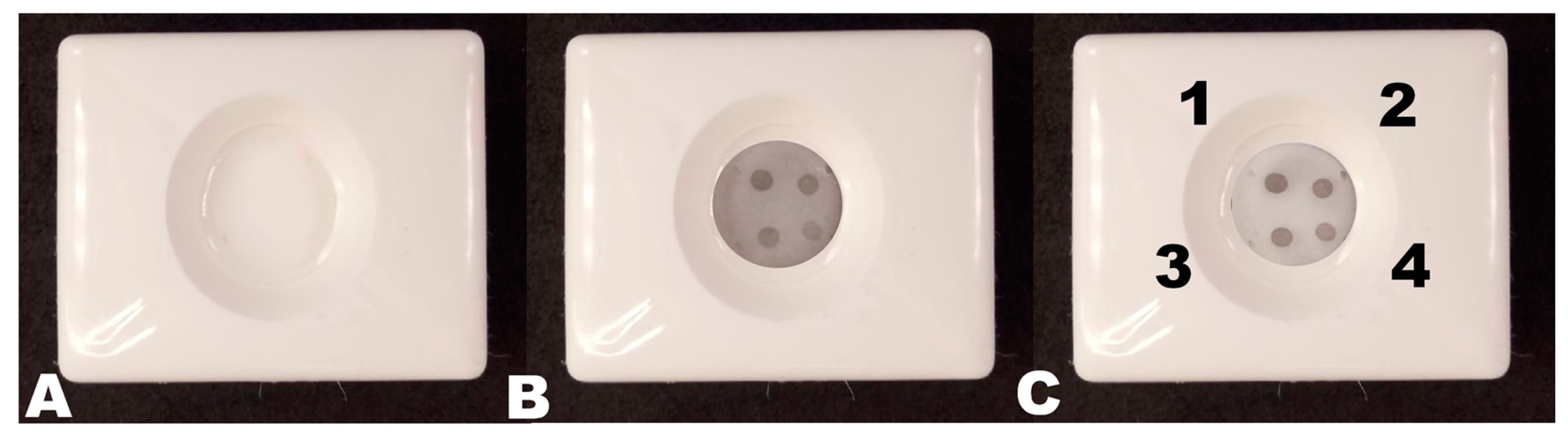 Biosensors 13 00857 g002