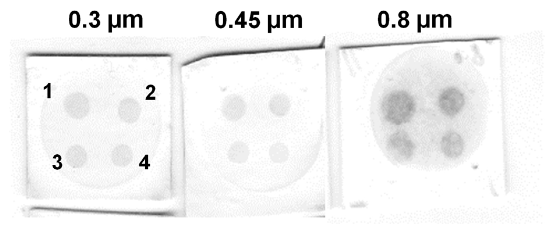 Biosensors 13 00857 g006