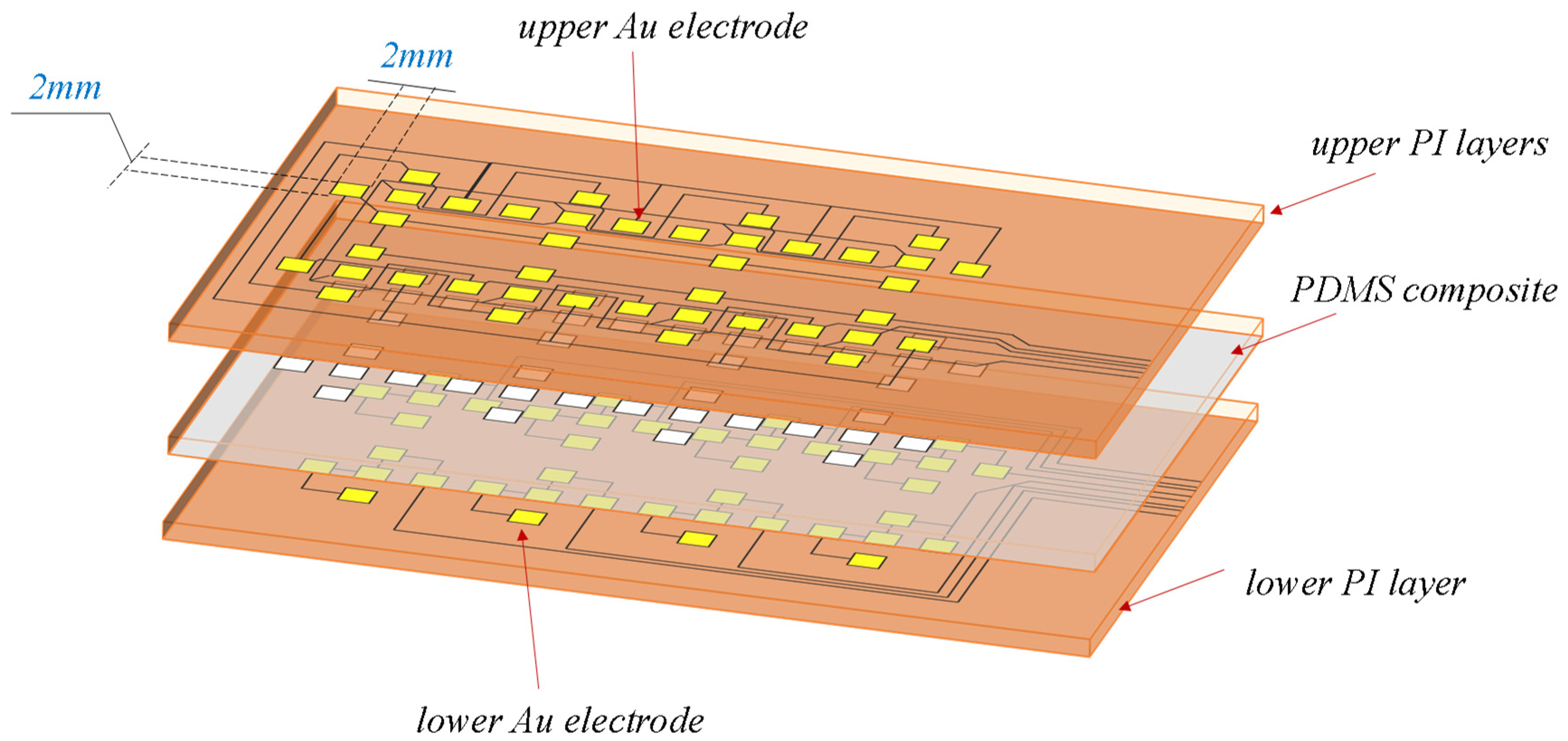 Biosensors 13 00862 g002