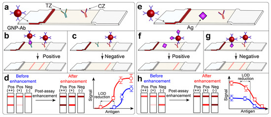 Effect of the multilayer structure on the immunoassay. Antigen-antibody