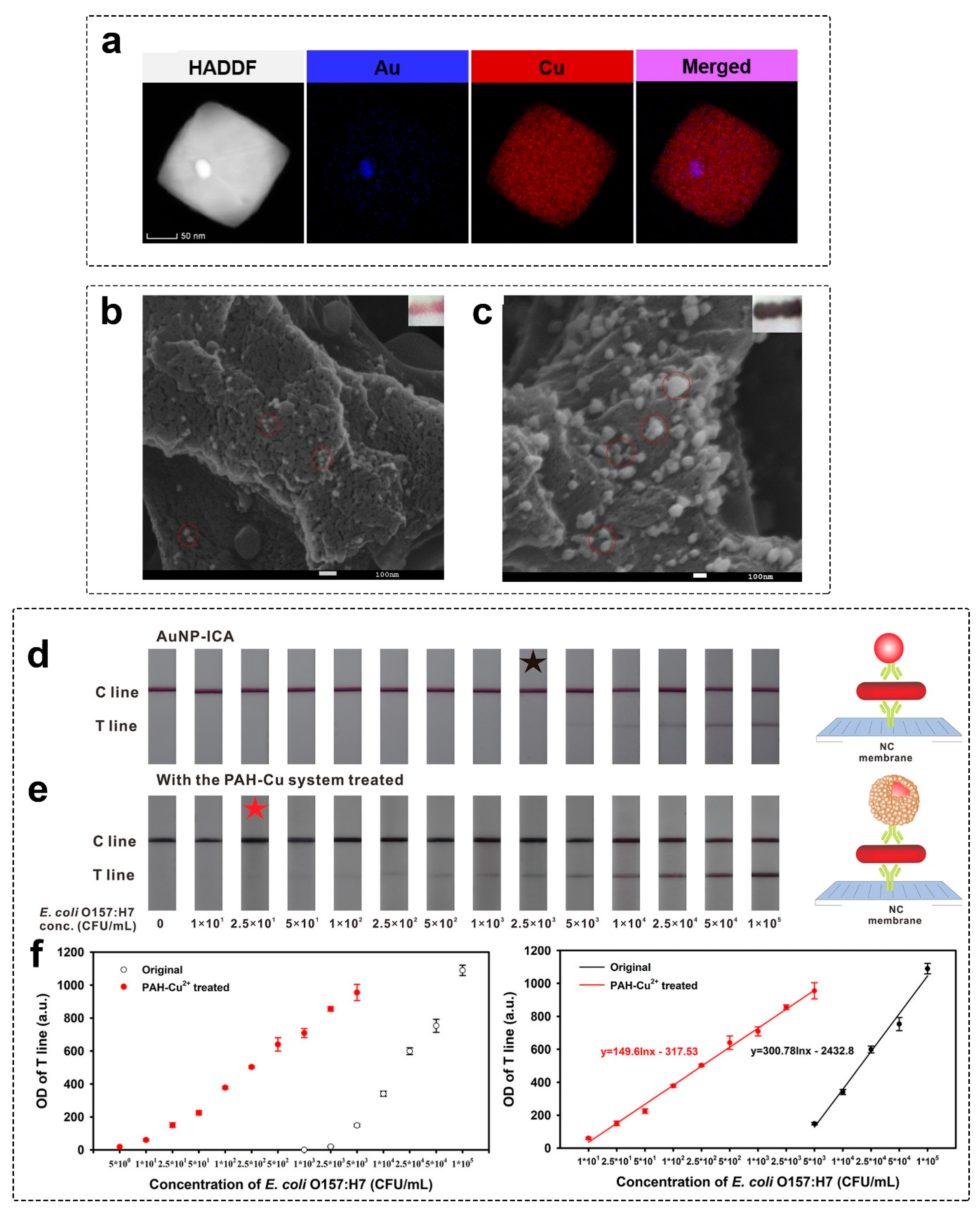 Biosensors 13 00866 g005