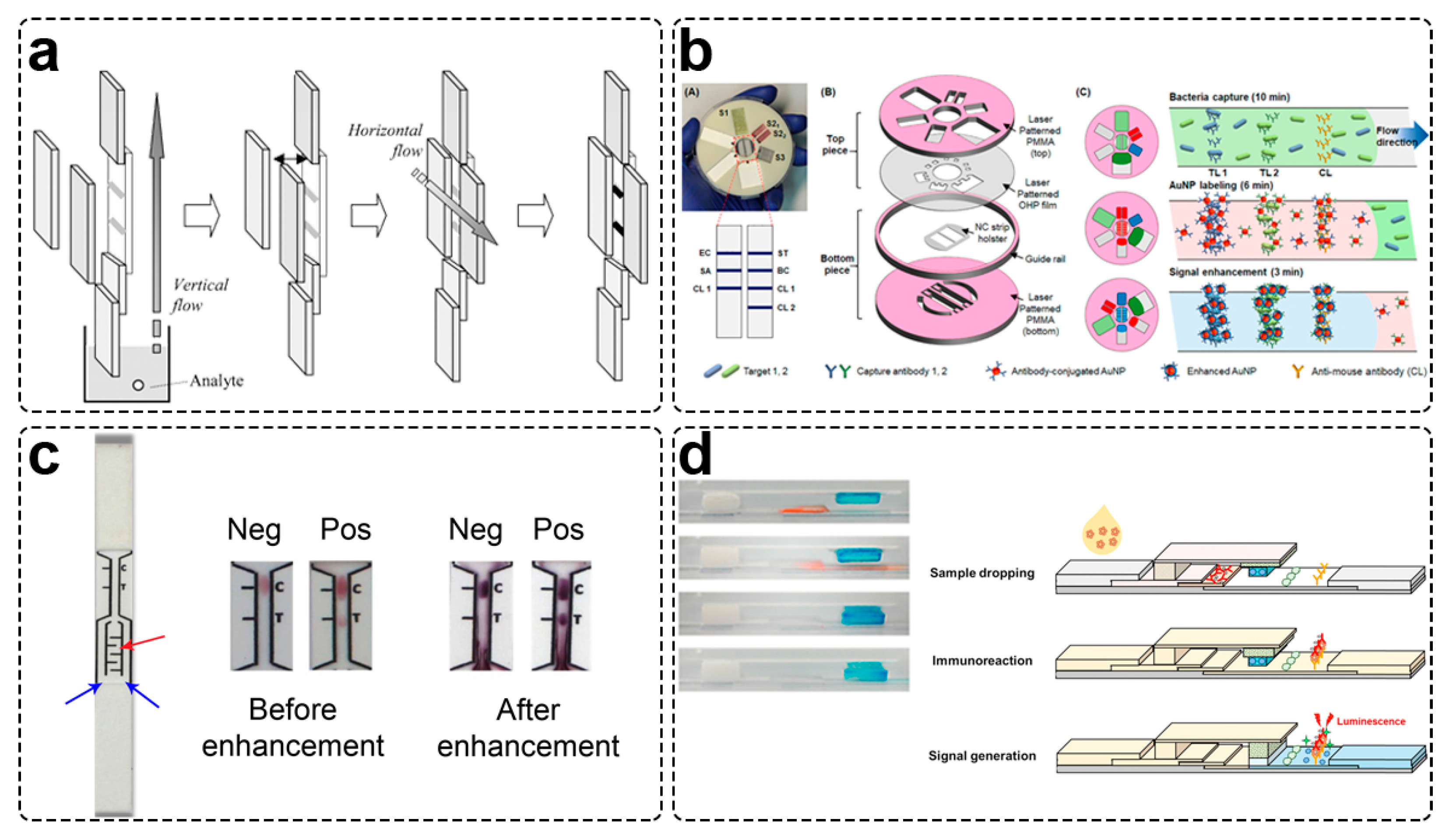 Biosensors 13 00866 g010