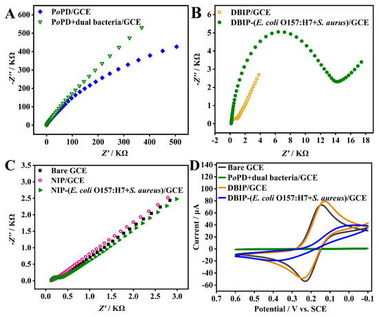 Zirconium-Based Metal–Organic Framework and Ti3C2Tx Nanosheet-Based Faraday  Cage-Type Electrochemical Aptasensor for Escherichia coli Detection