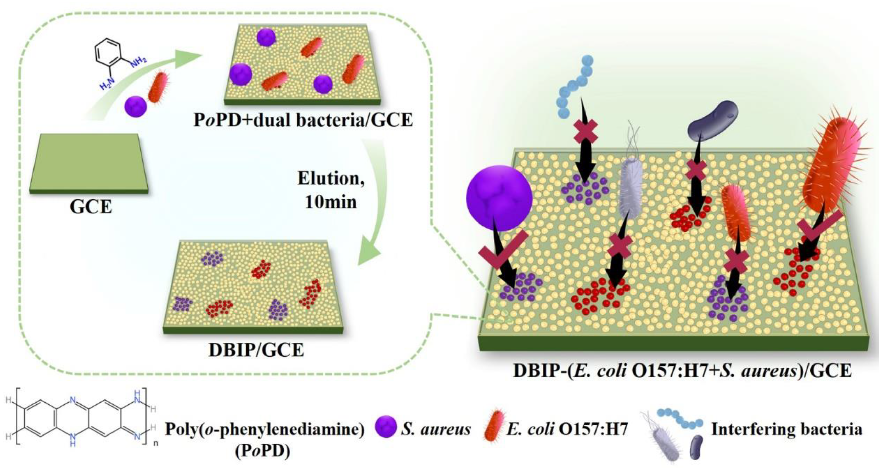 Biosensors 13 00868 sch001