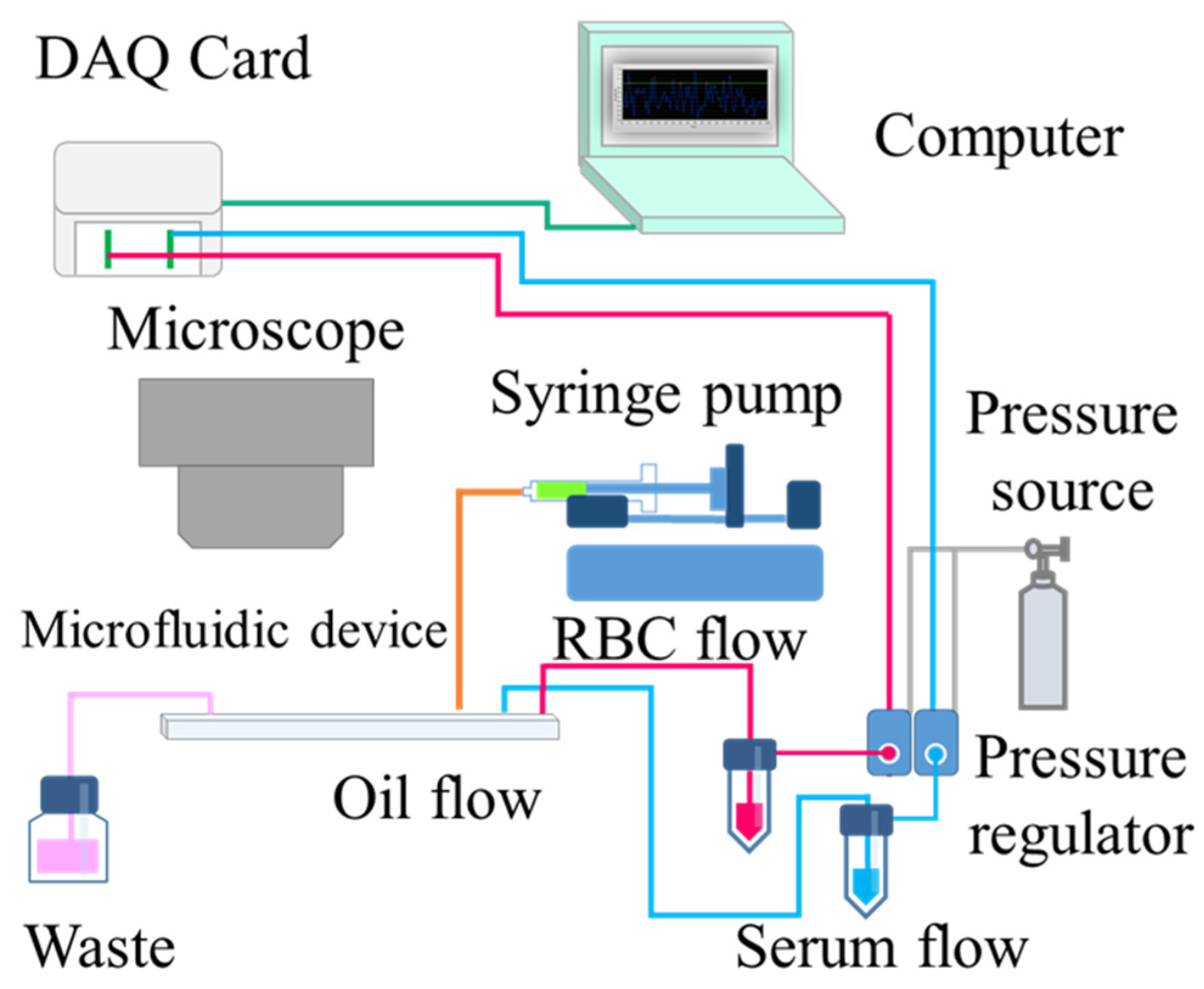 Biosensors 13 00869 g002