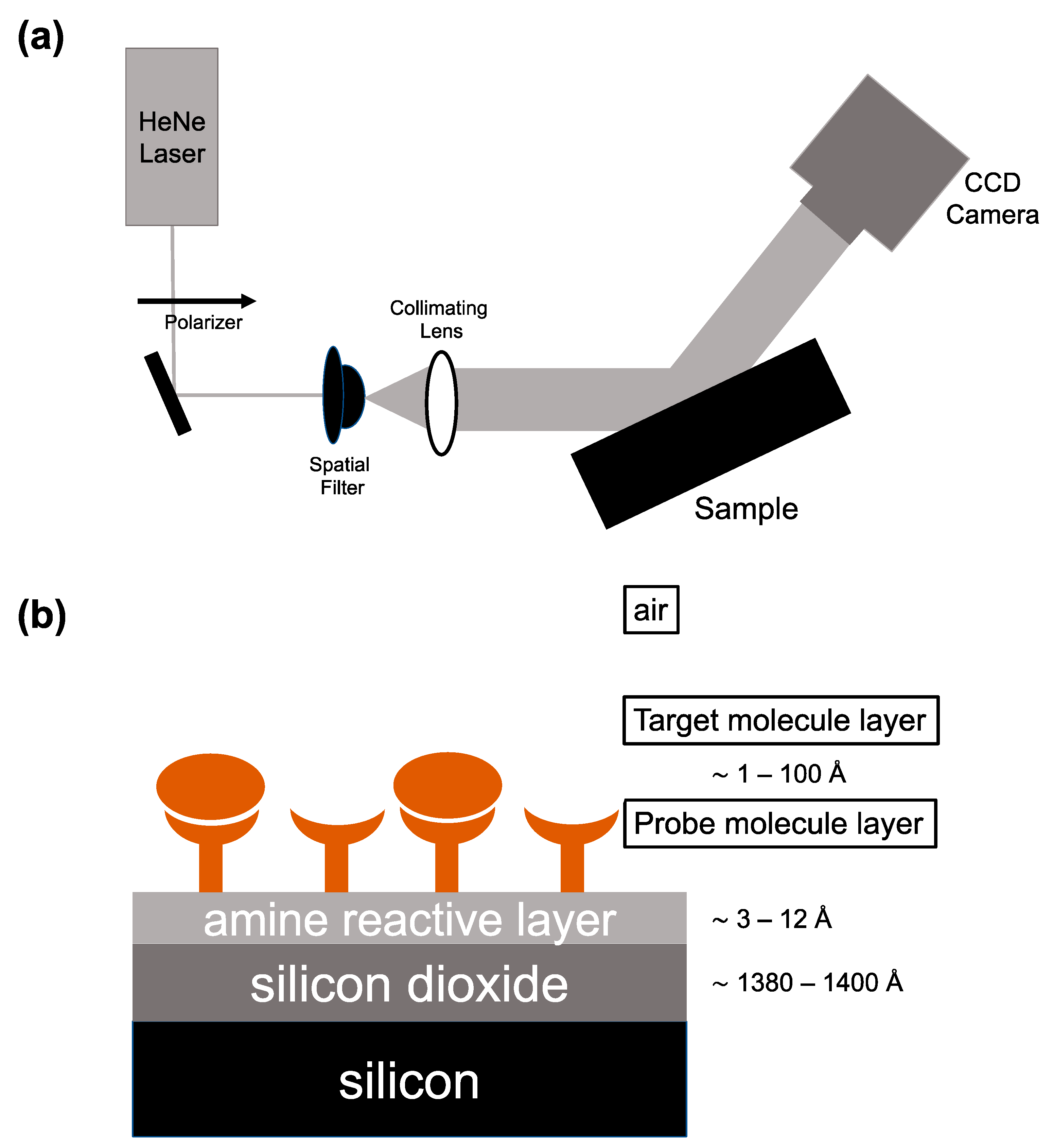 Biosensors 13 00870 g001