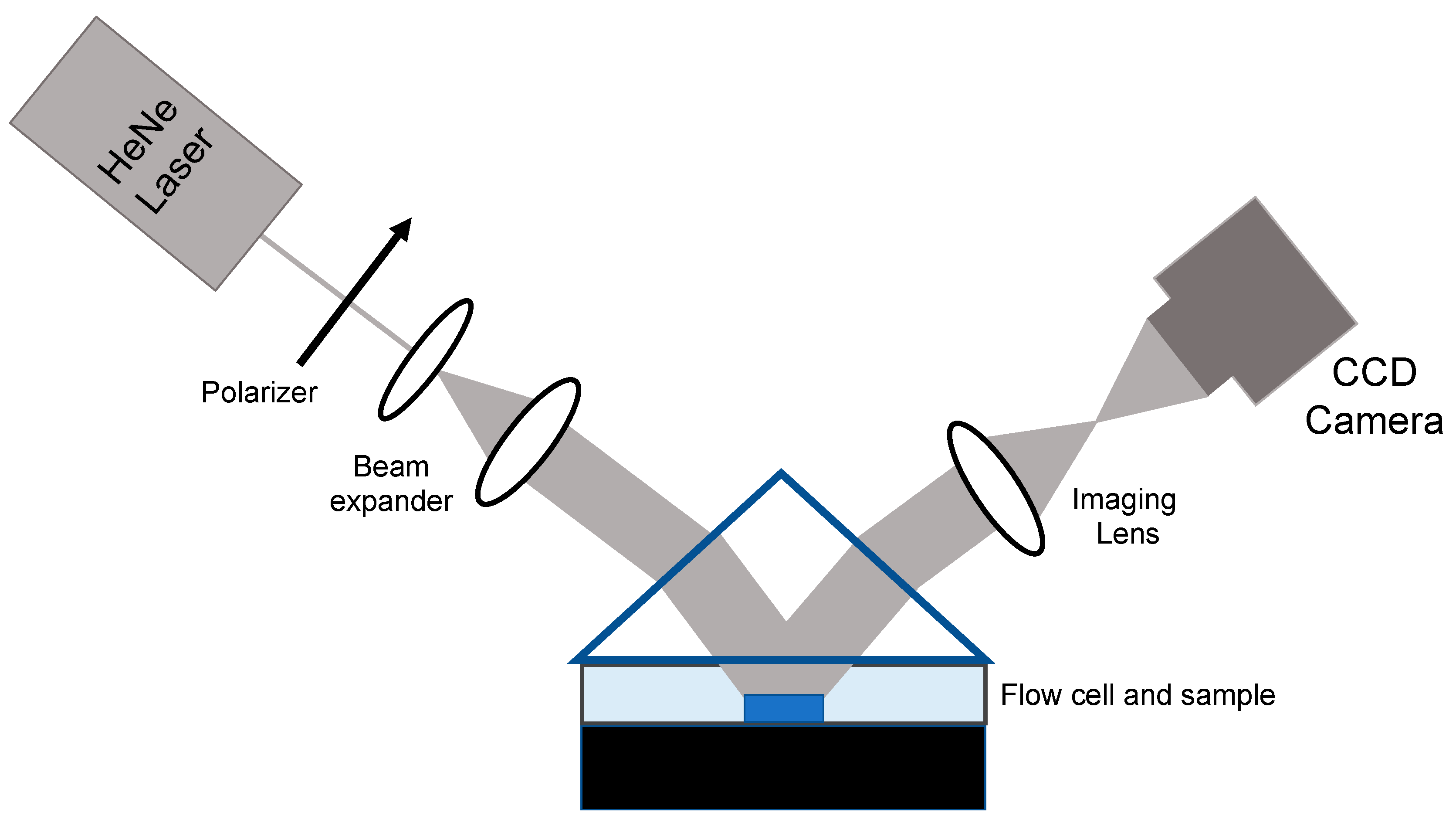 Biosensors 13 00870 g003