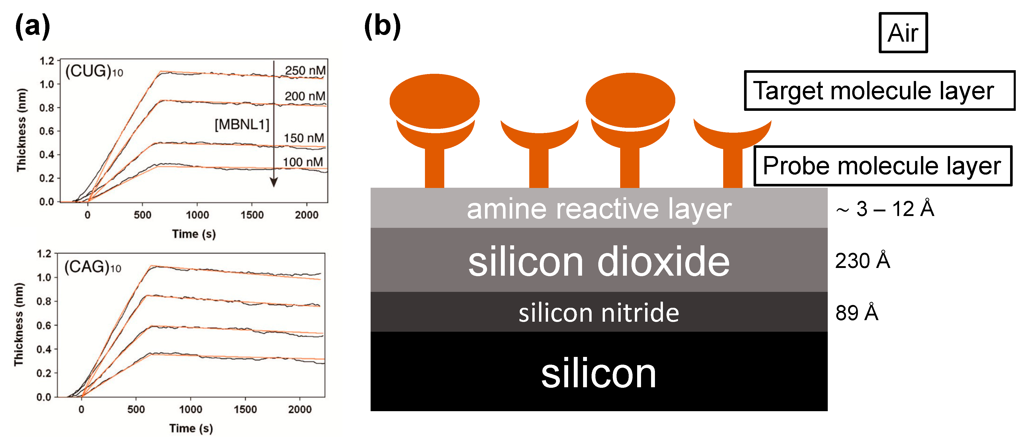 Biosensors 13 00870 g004