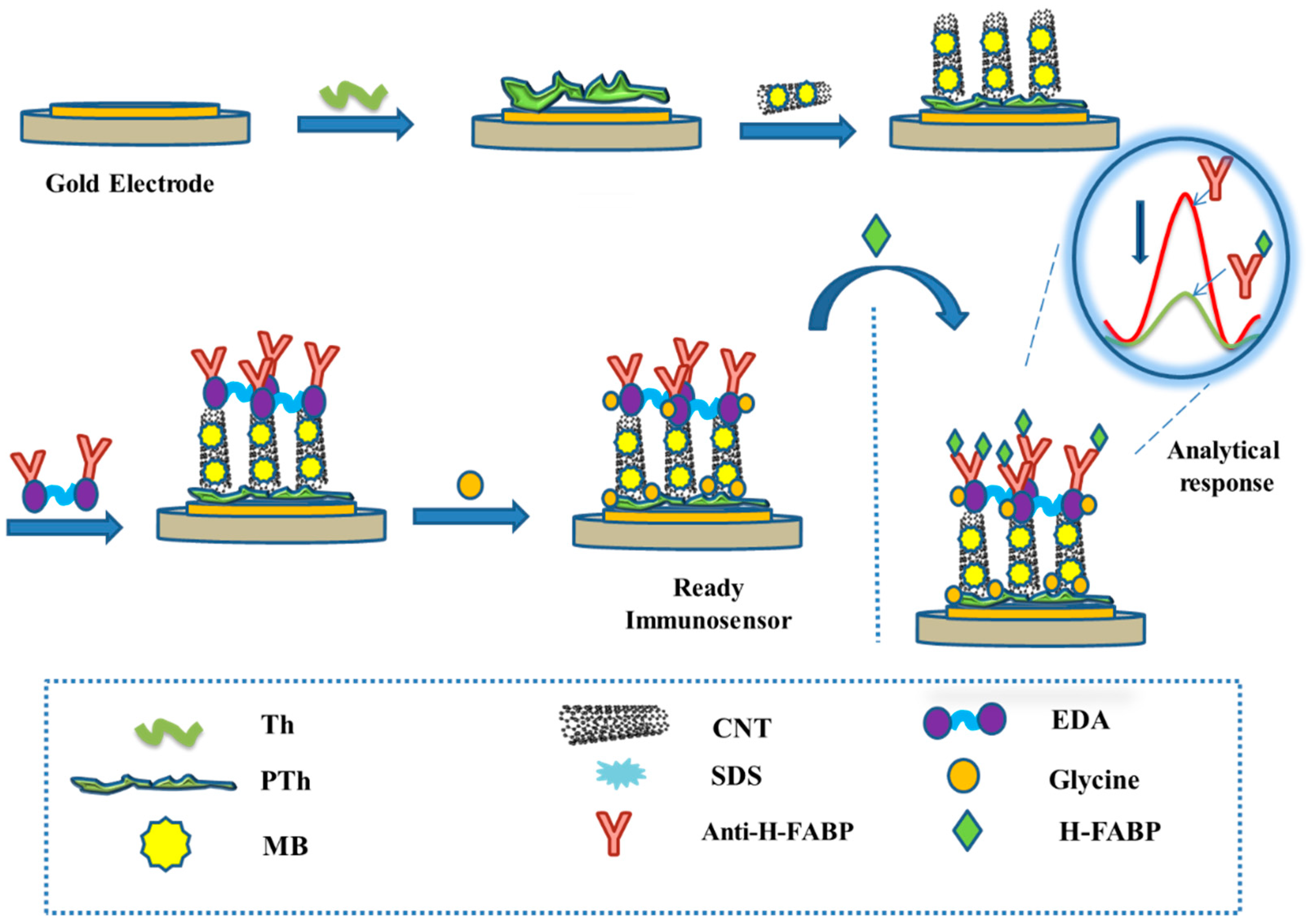 Biosensors 13 00873 g001