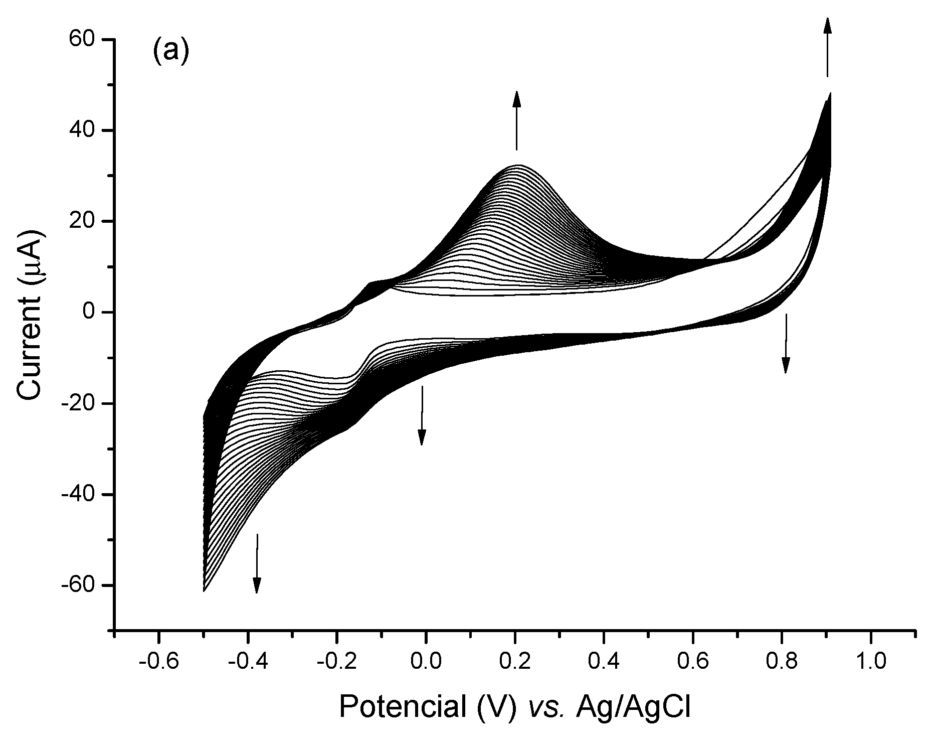 Biosensors 13 00873 g002a